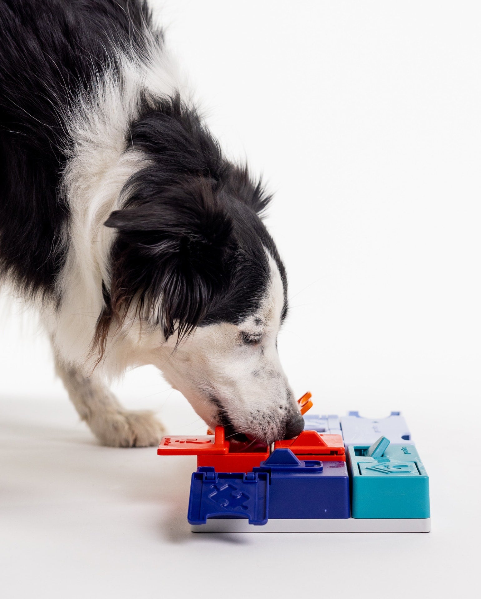 Pawzler Modular Dog Puzzle - Genius Set