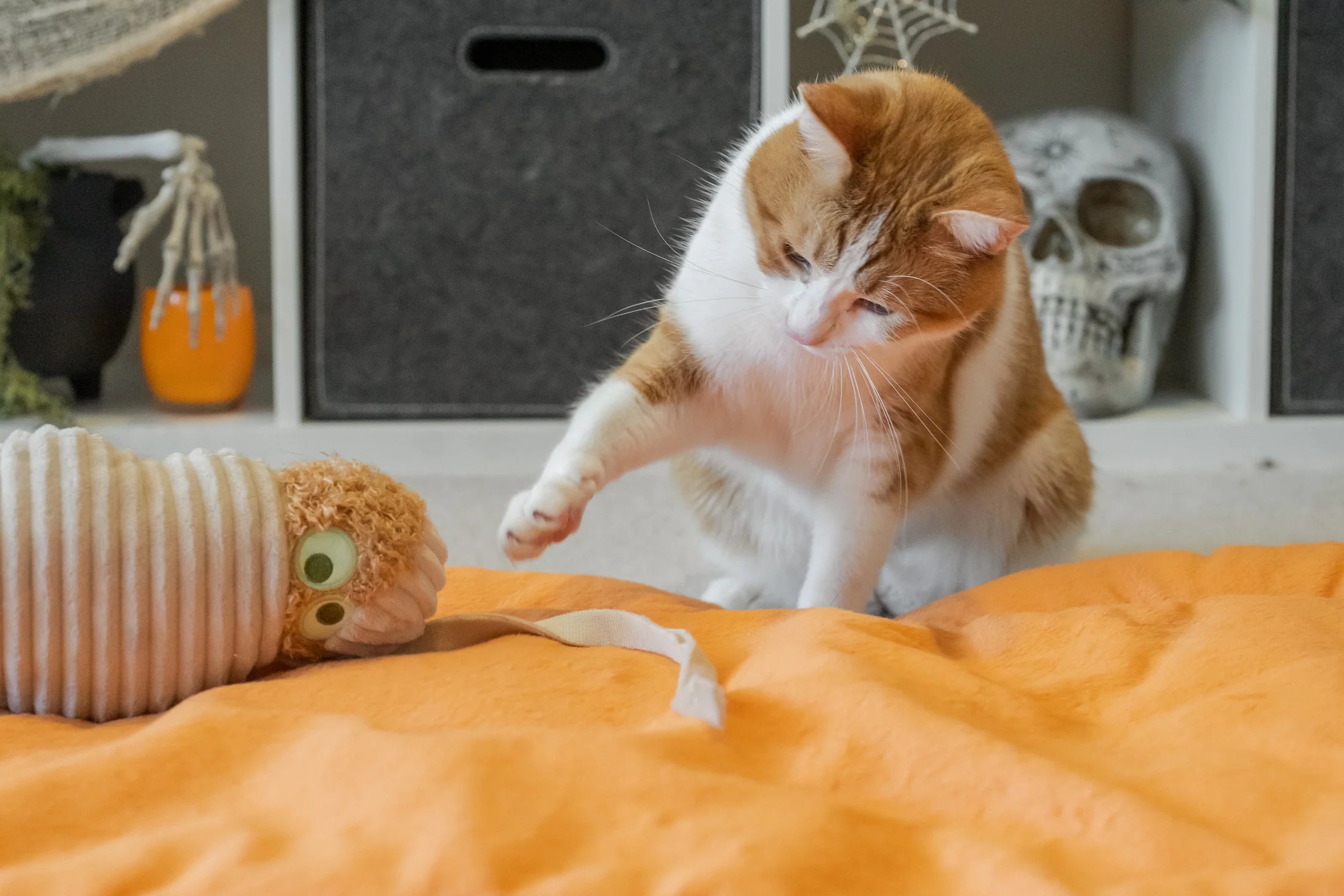 P.L.A.Y Feline Frenzy Kicker Toy Mummy
