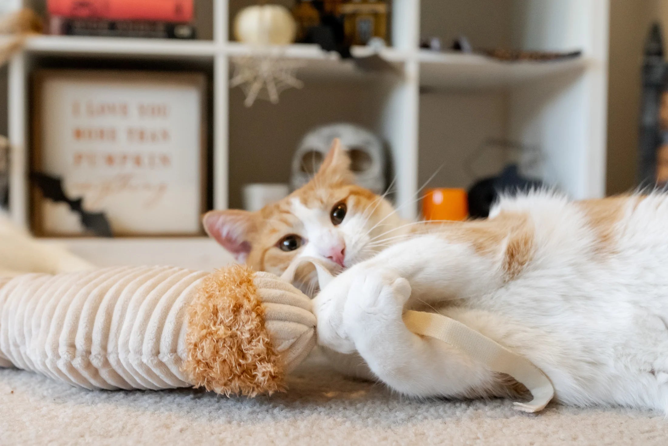 P.L.A.Y Feline Frenzy Kicker Toy Mummy