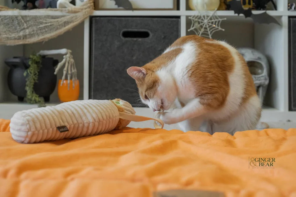 P.L.A.Y Feline Frenzy Kicker Toy Mummy