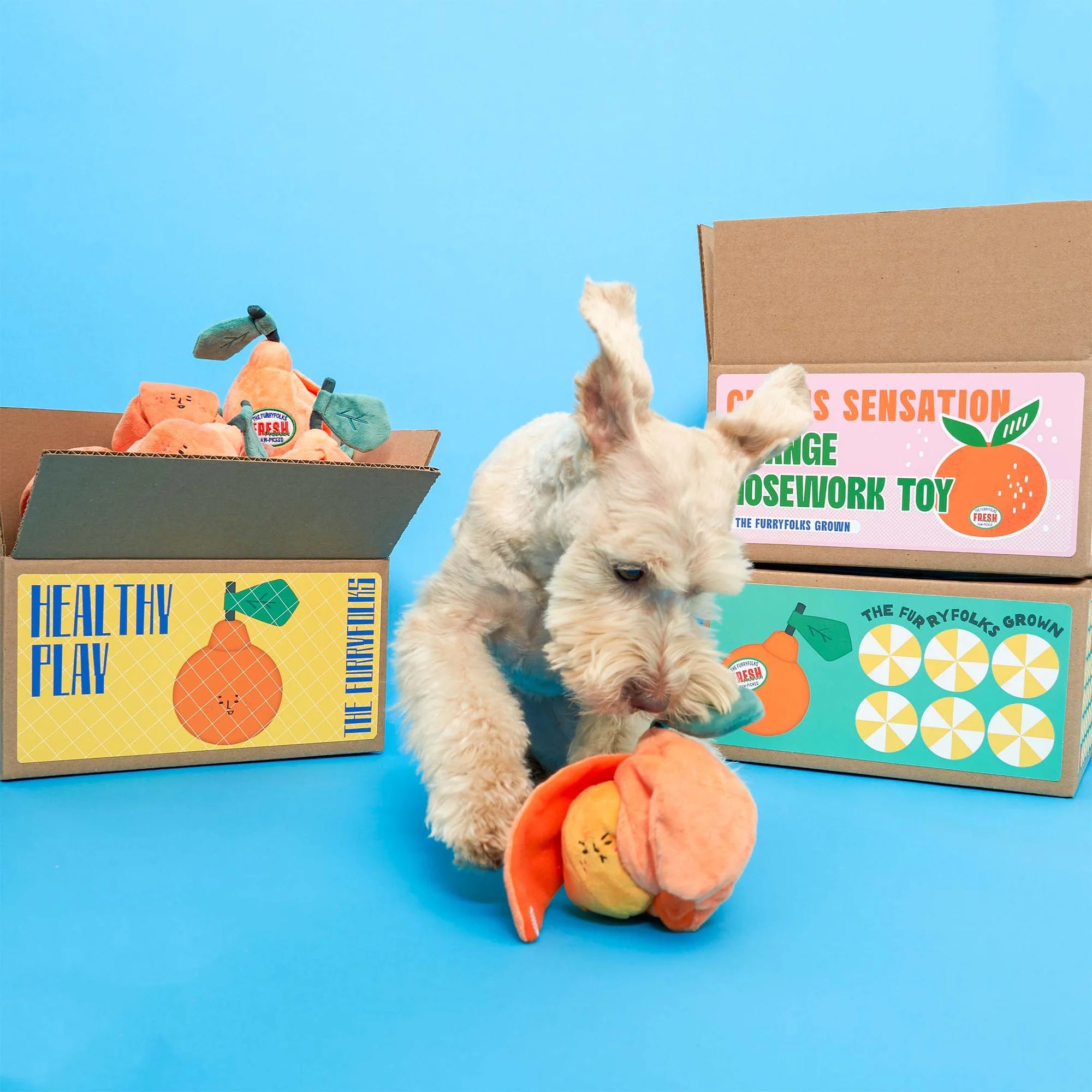 The FurryFolks Orange Squeaky Nosework Dog Toy
