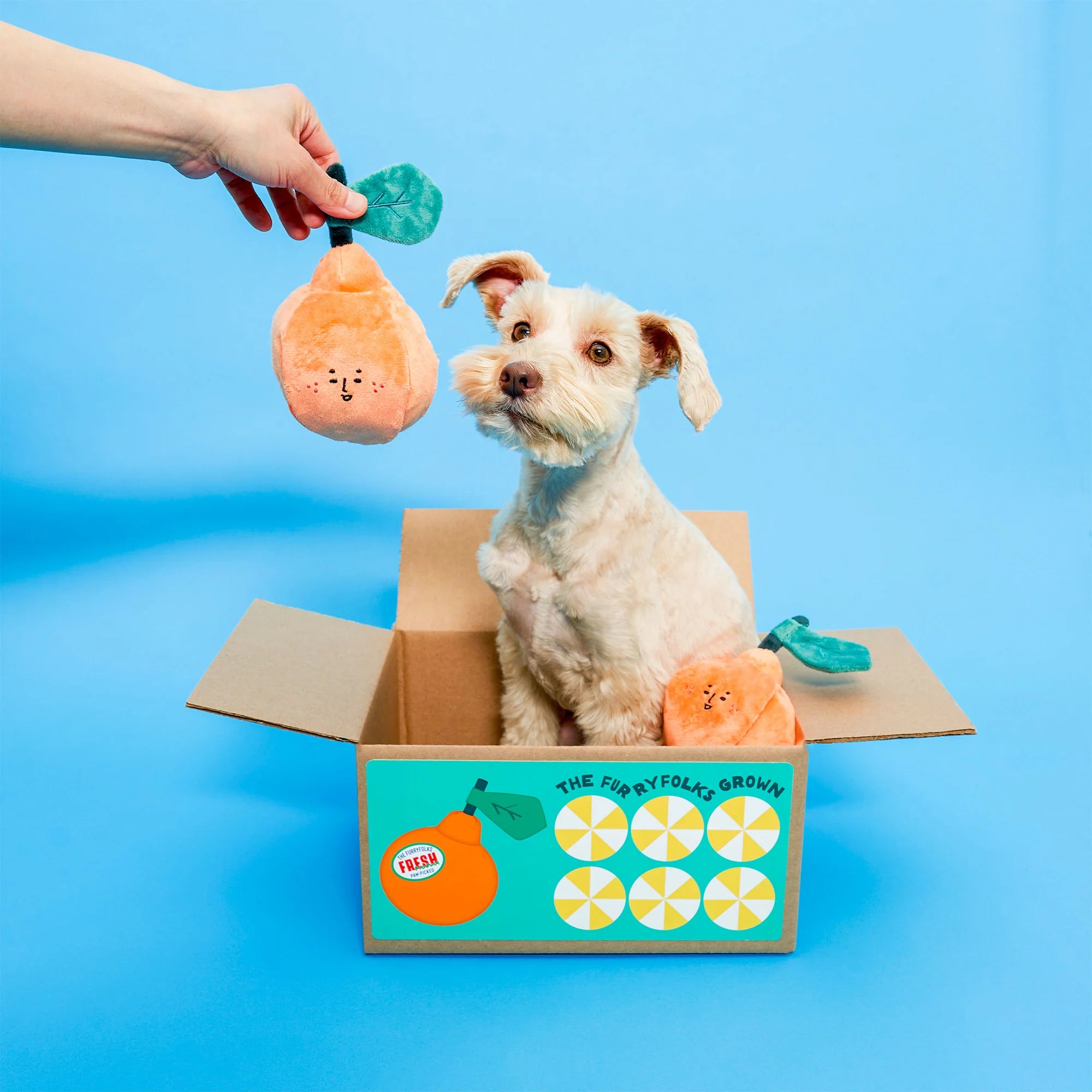 The FurryFolks Orange Squeaky Nosework Dog Toy