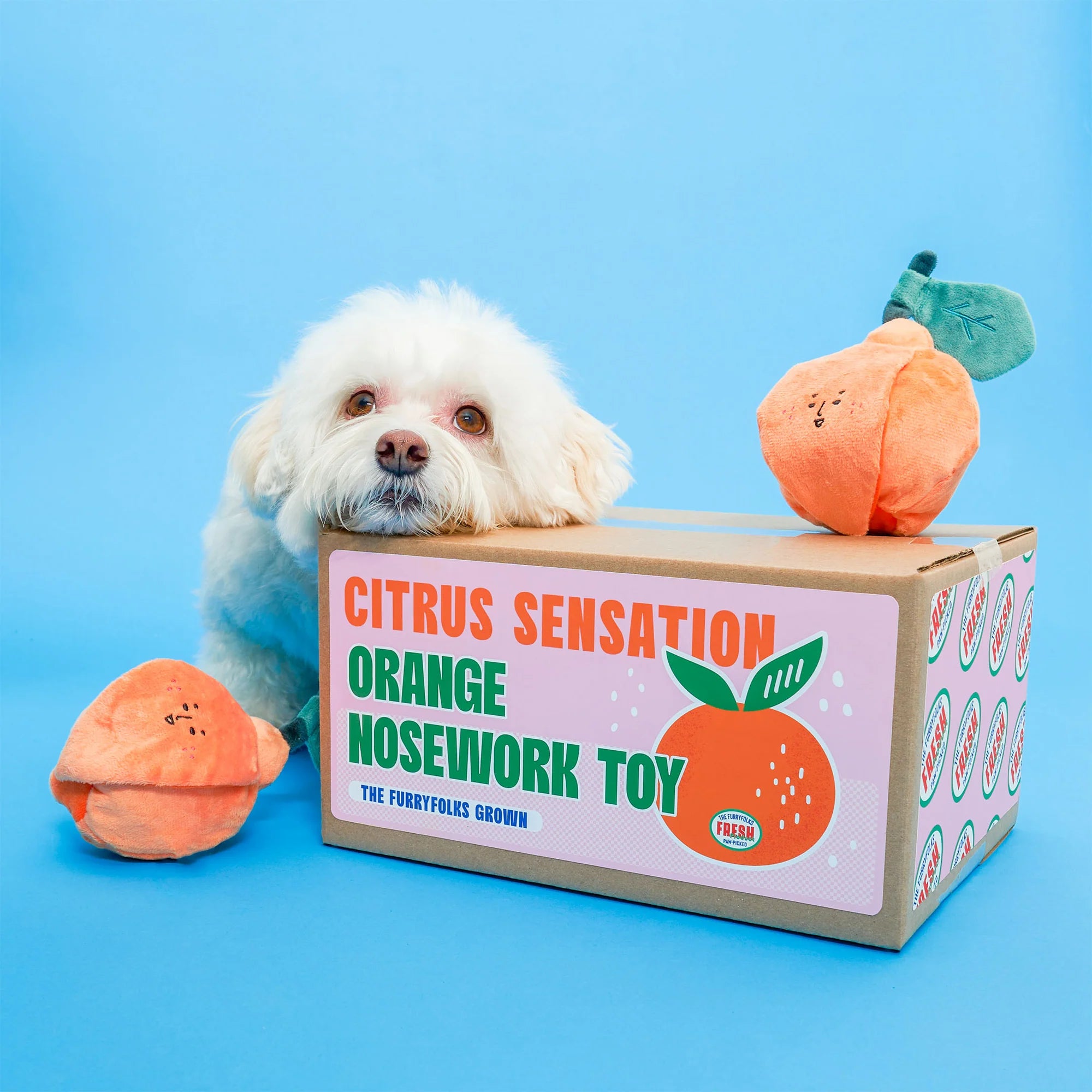 The FurryFolks Orange Squeaky Nosework Dog Toy