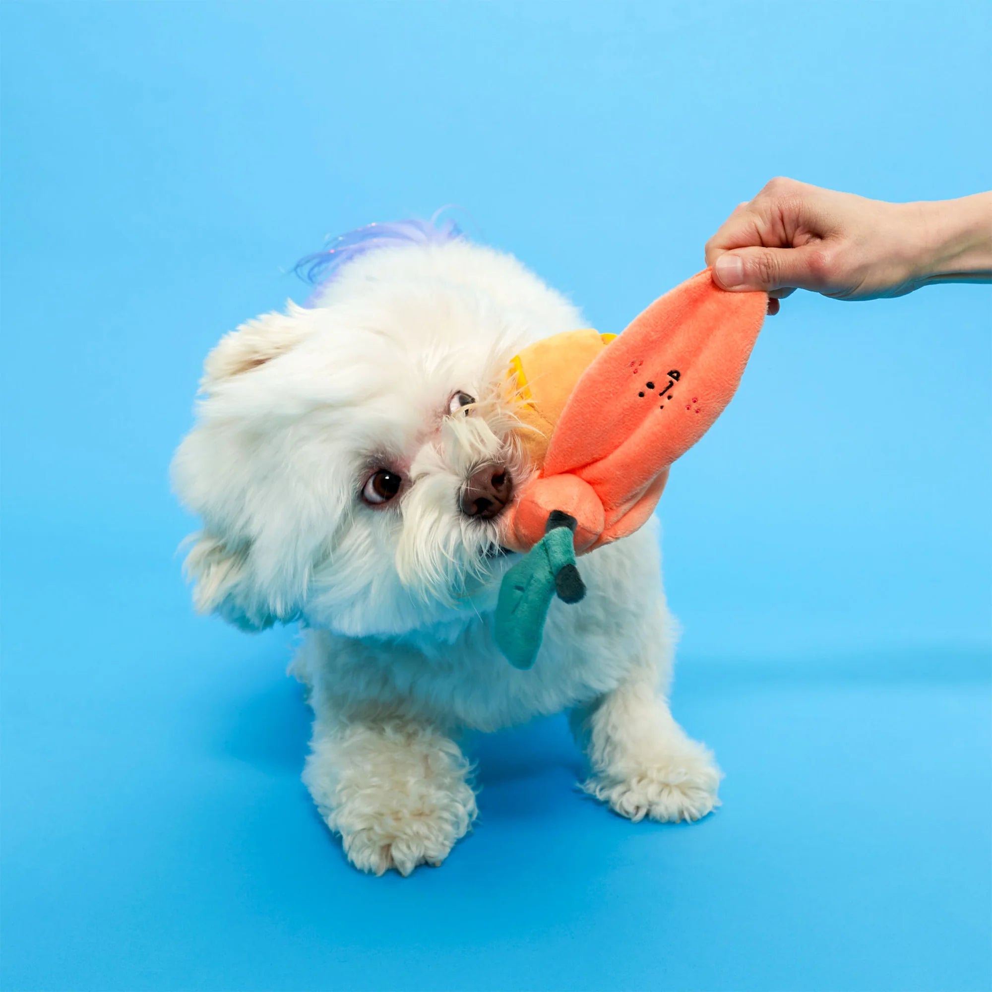 The FurryFolks Orange Squeaky Nosework Dog Toy