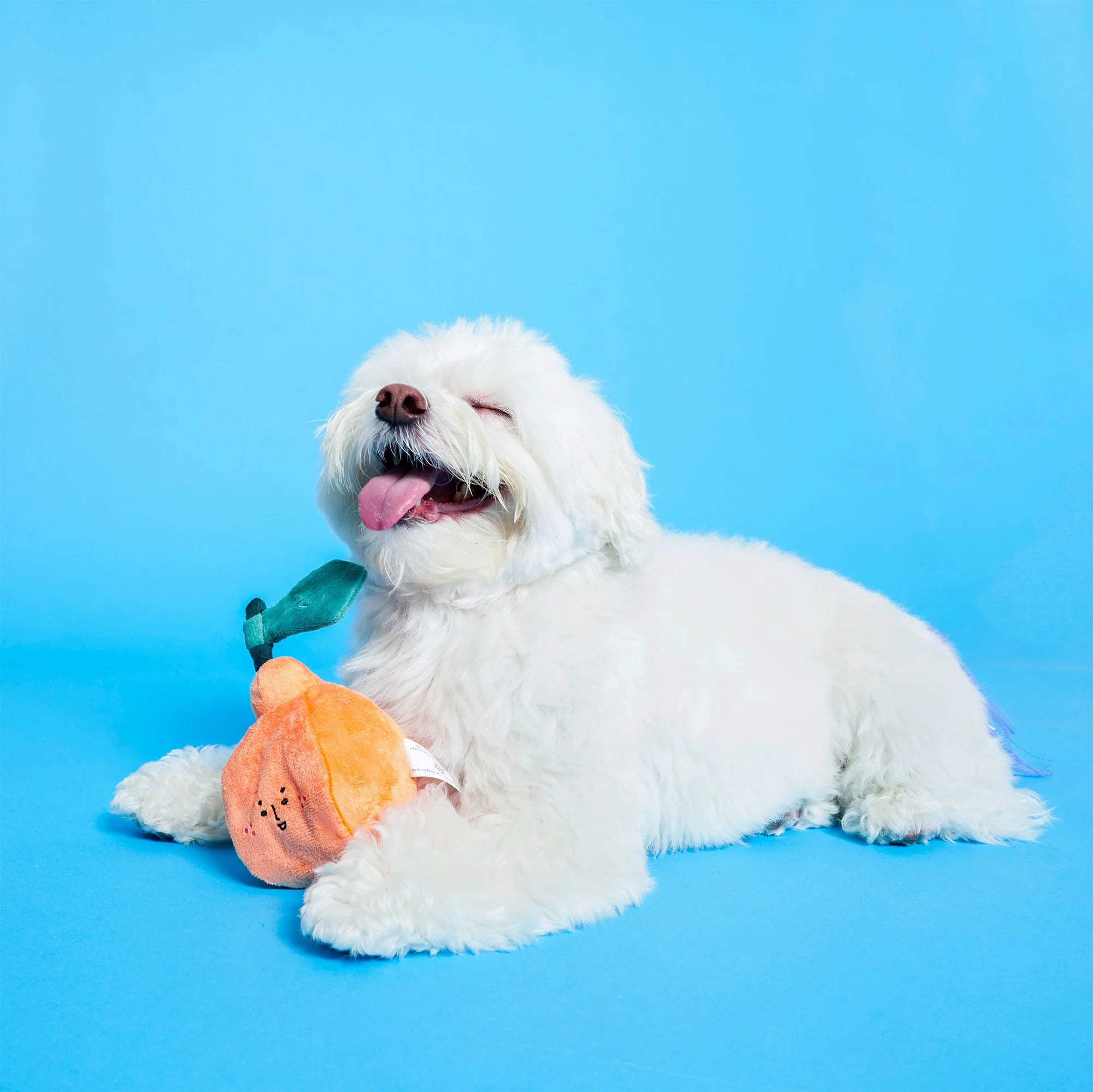 The FurryFolks Orange Squeaky Nosework Dog Toy