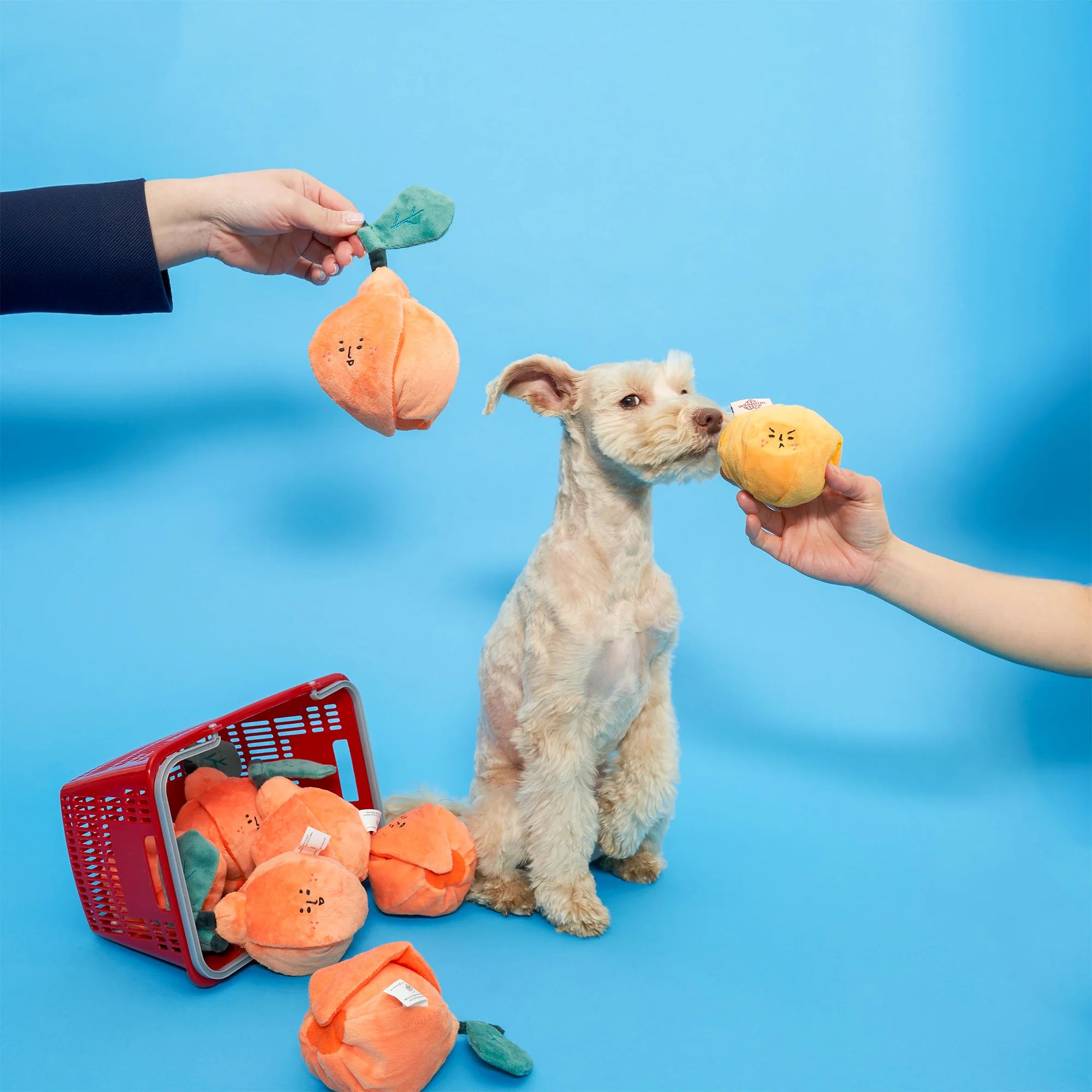 The FurryFolks Orange Squeaky Nosework Dog Toy
