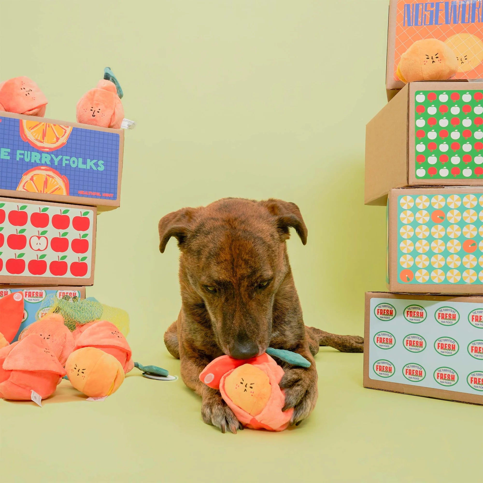 The FurryFolks Orange Squeaky Nosework Dog Toy