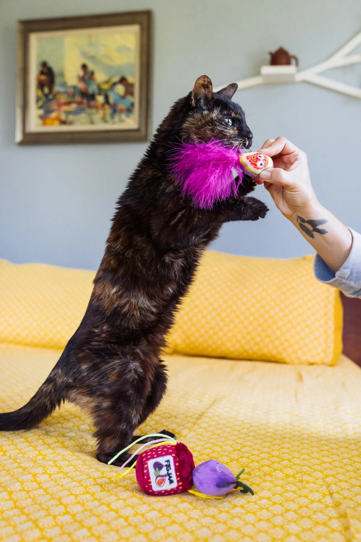 P.L.A.Y Feline Frenzy Fig N' Whiskers Catnip Toy Set