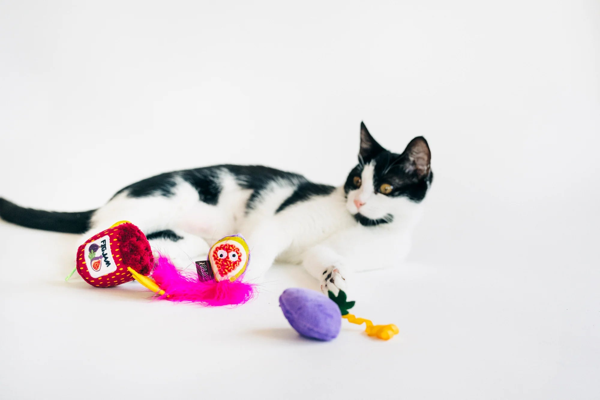 P.L.A.Y Feline Frenzy Fig N' Whiskers Catnip Toy Set
