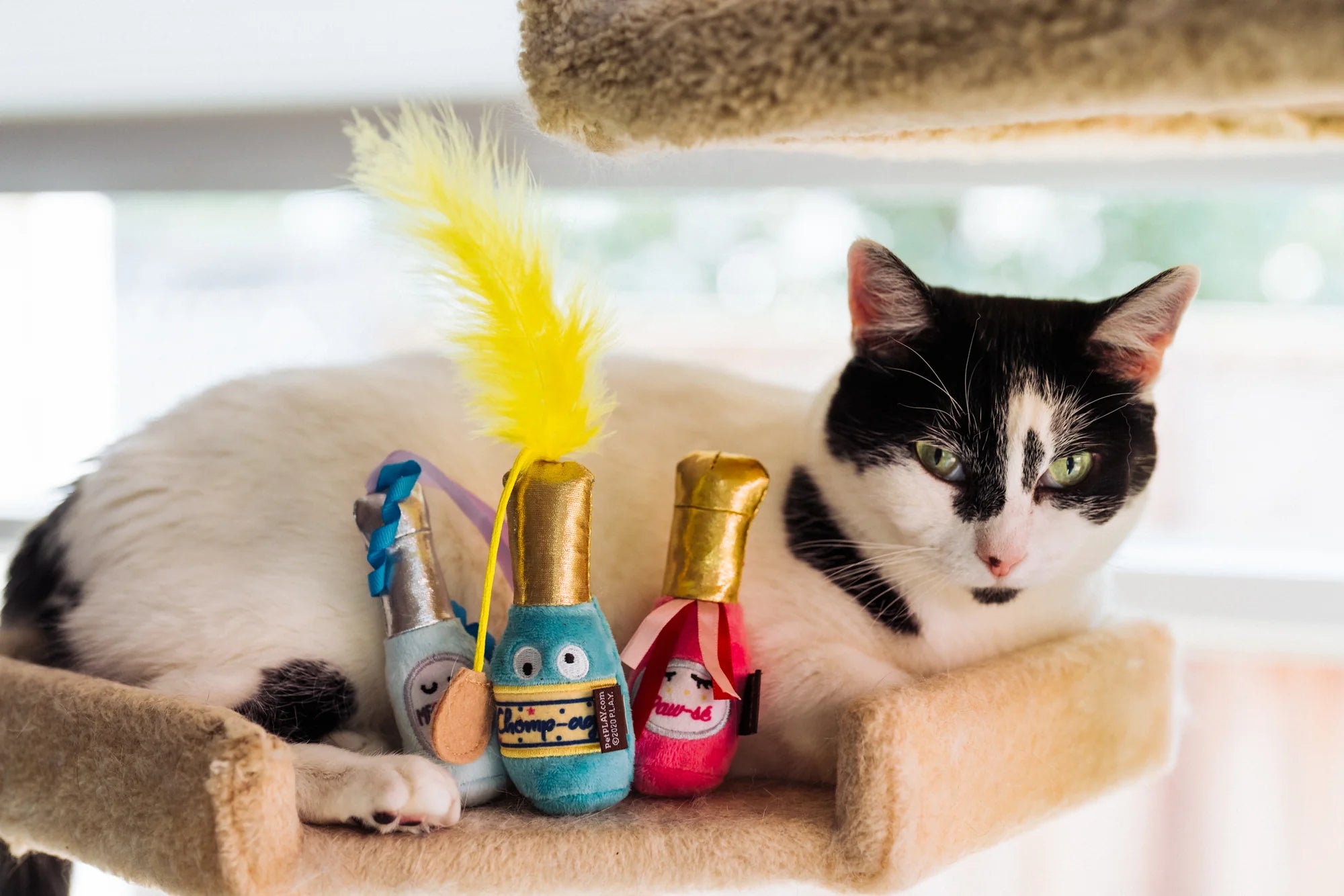 P.L.A.Y Feline Frenzy Catnip Toy Set Pop, Fizz, Meow