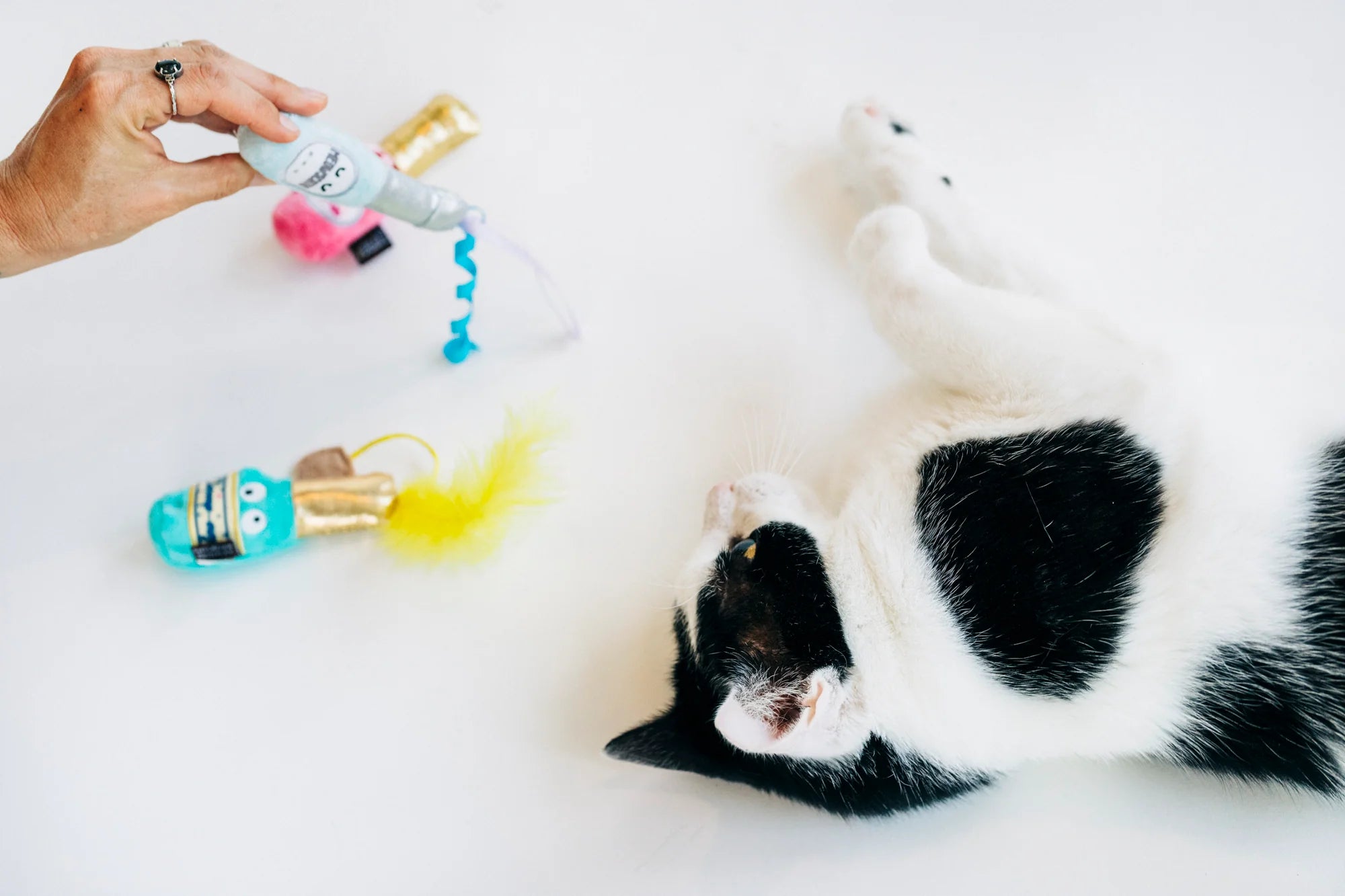 P.L.A.Y Feline Frenzy Catnip Toy Set Pop, Fizz, Meow