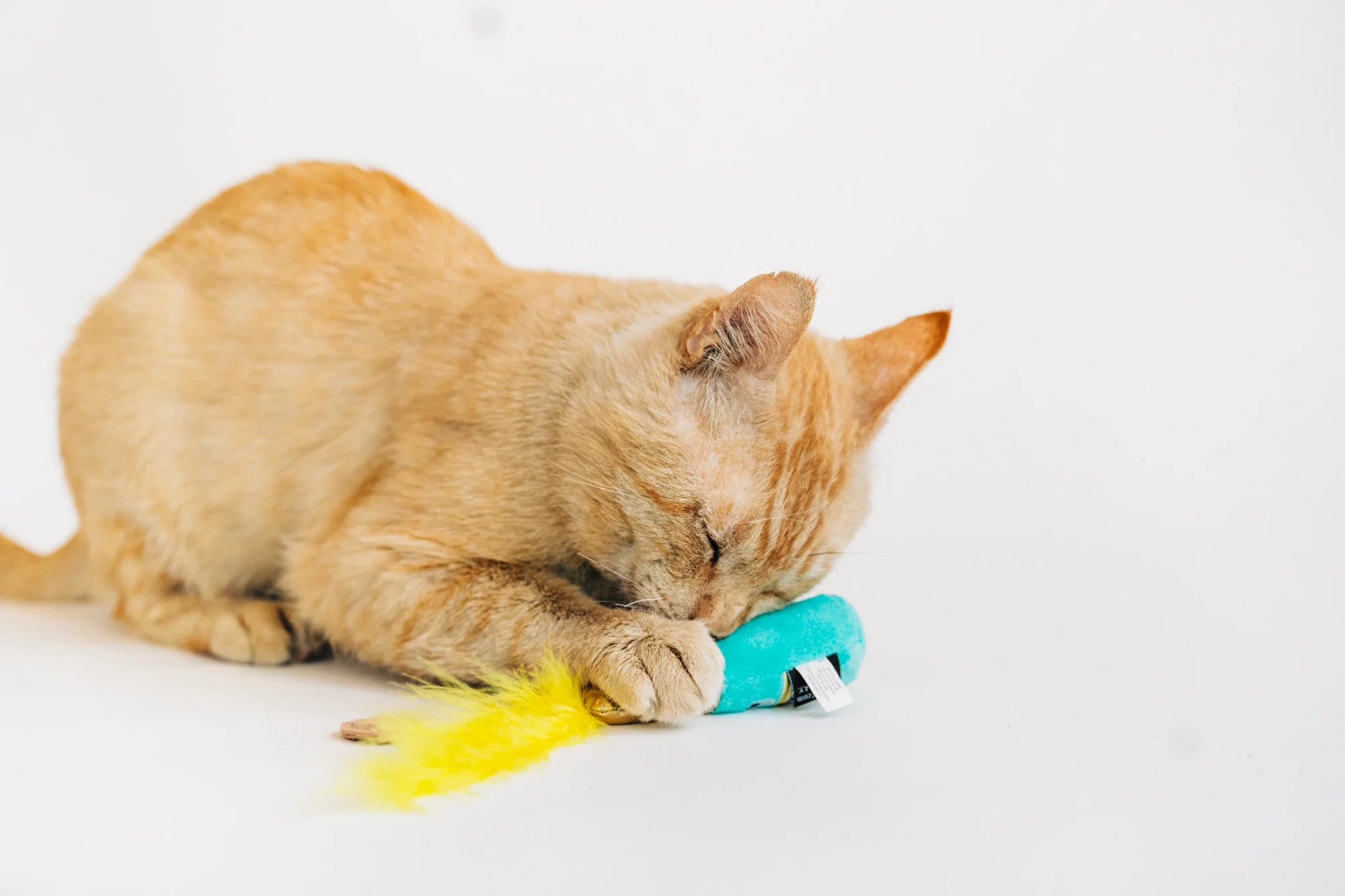 P.L.A.Y Feline Frenzy Catnip Toy Set Pop, Fizz, Meow