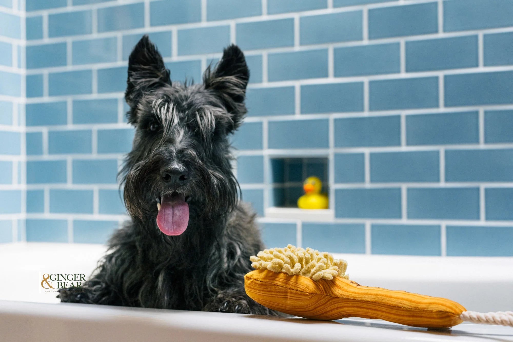 P.L.A.Y Bark'n Bristles Dog Toy