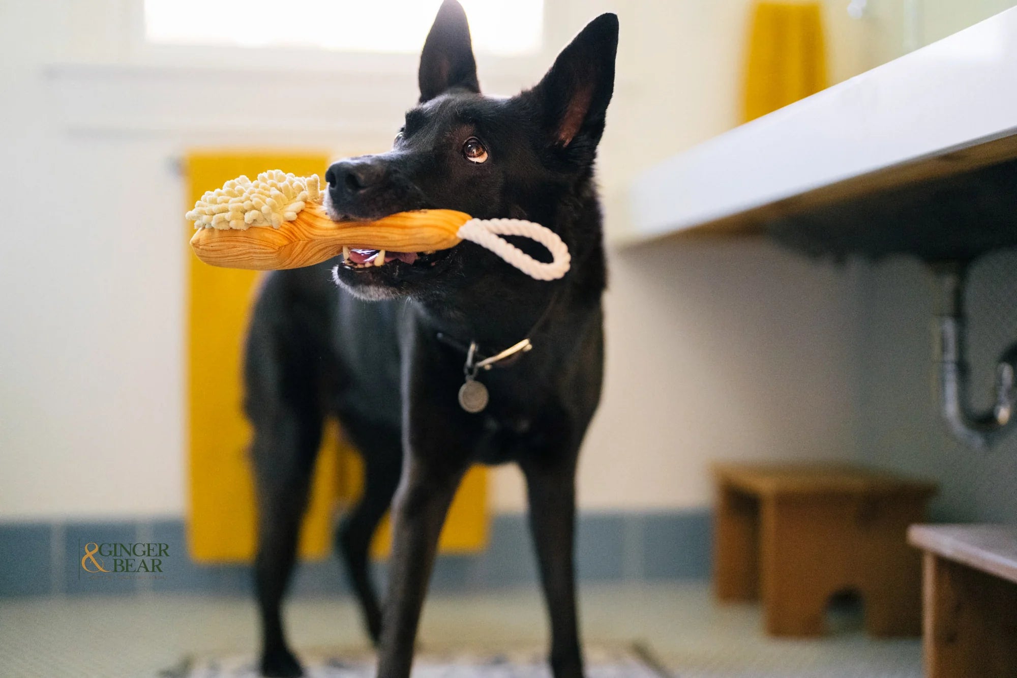 P.L.A.Y Bark'n Bristles Dog Toy