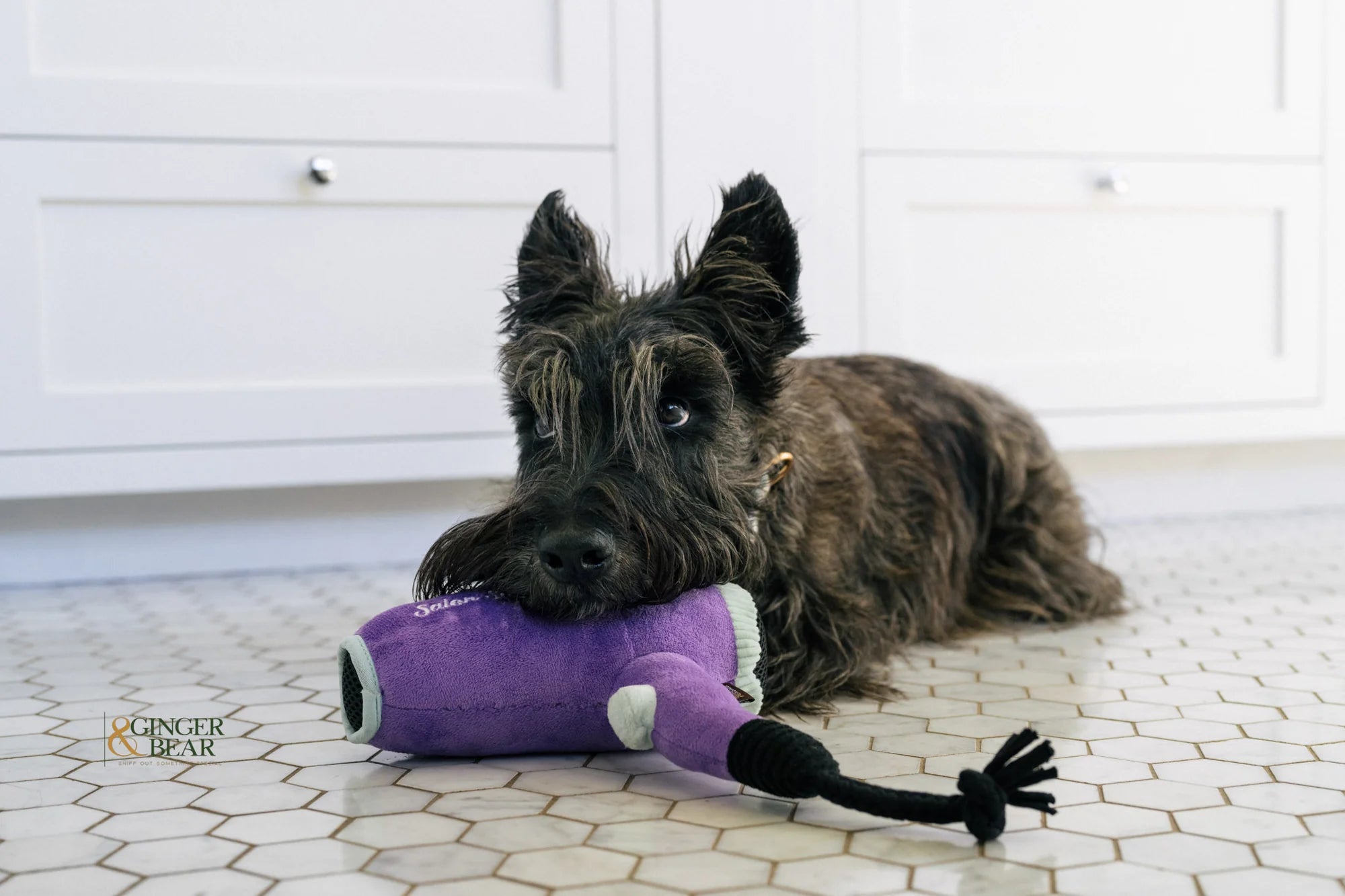 P.L.A.Y Howlin' Hair Dryer Dog Toy