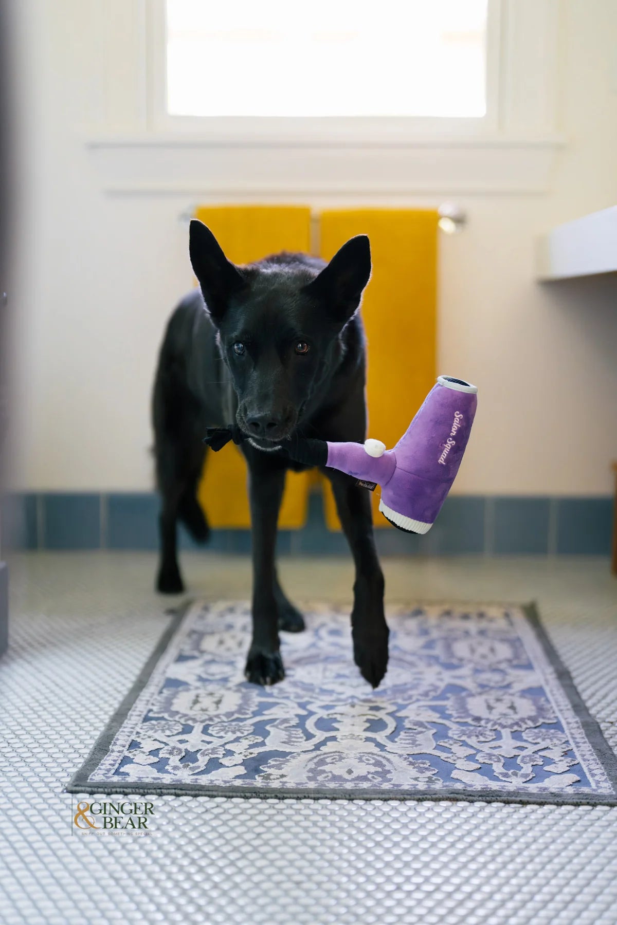 P.L.A.Y Howlin' Hair Dryer Dog Toy