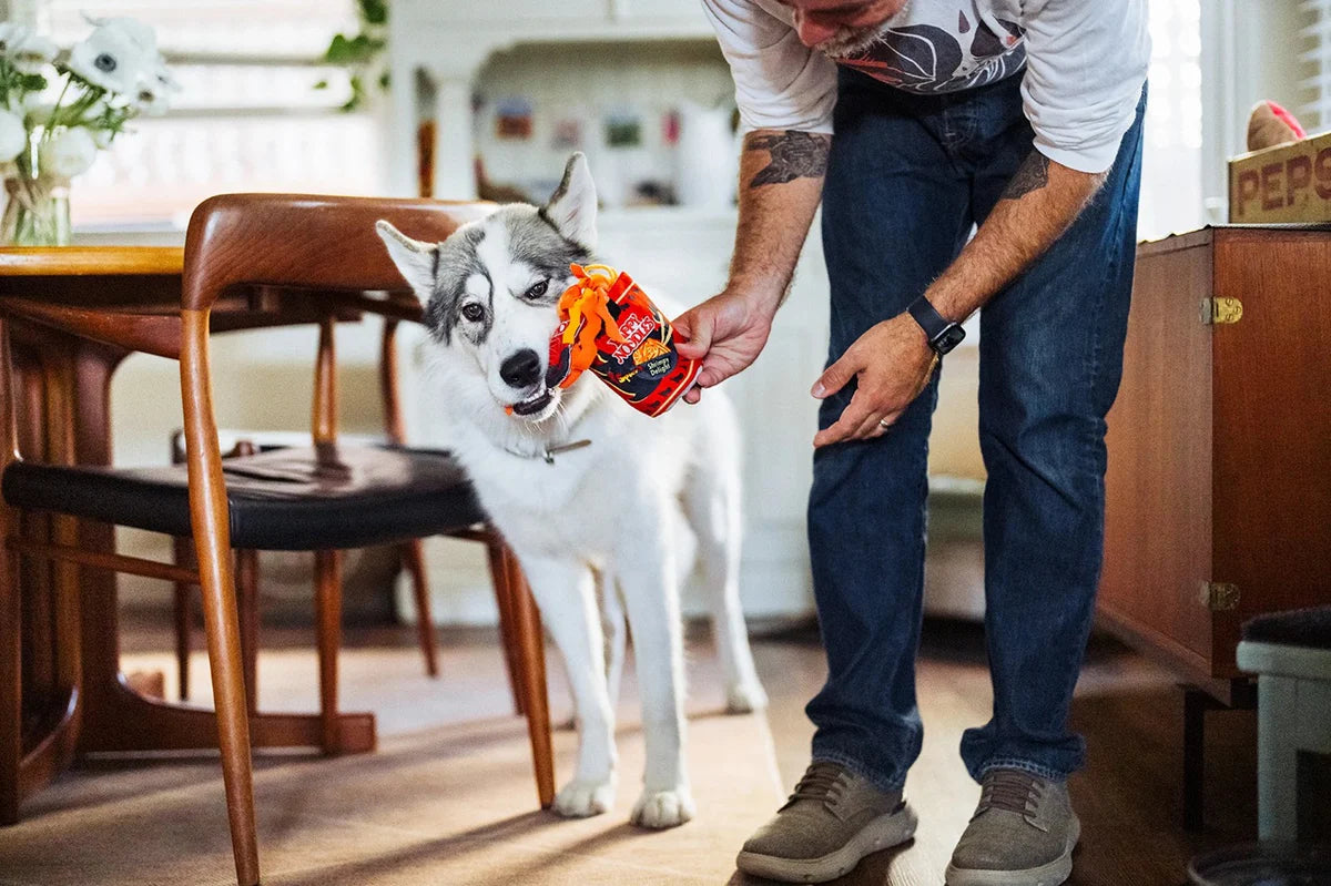 P.L.A.Y Slurp It Up Interactive Squeaky Plush Dog Toy