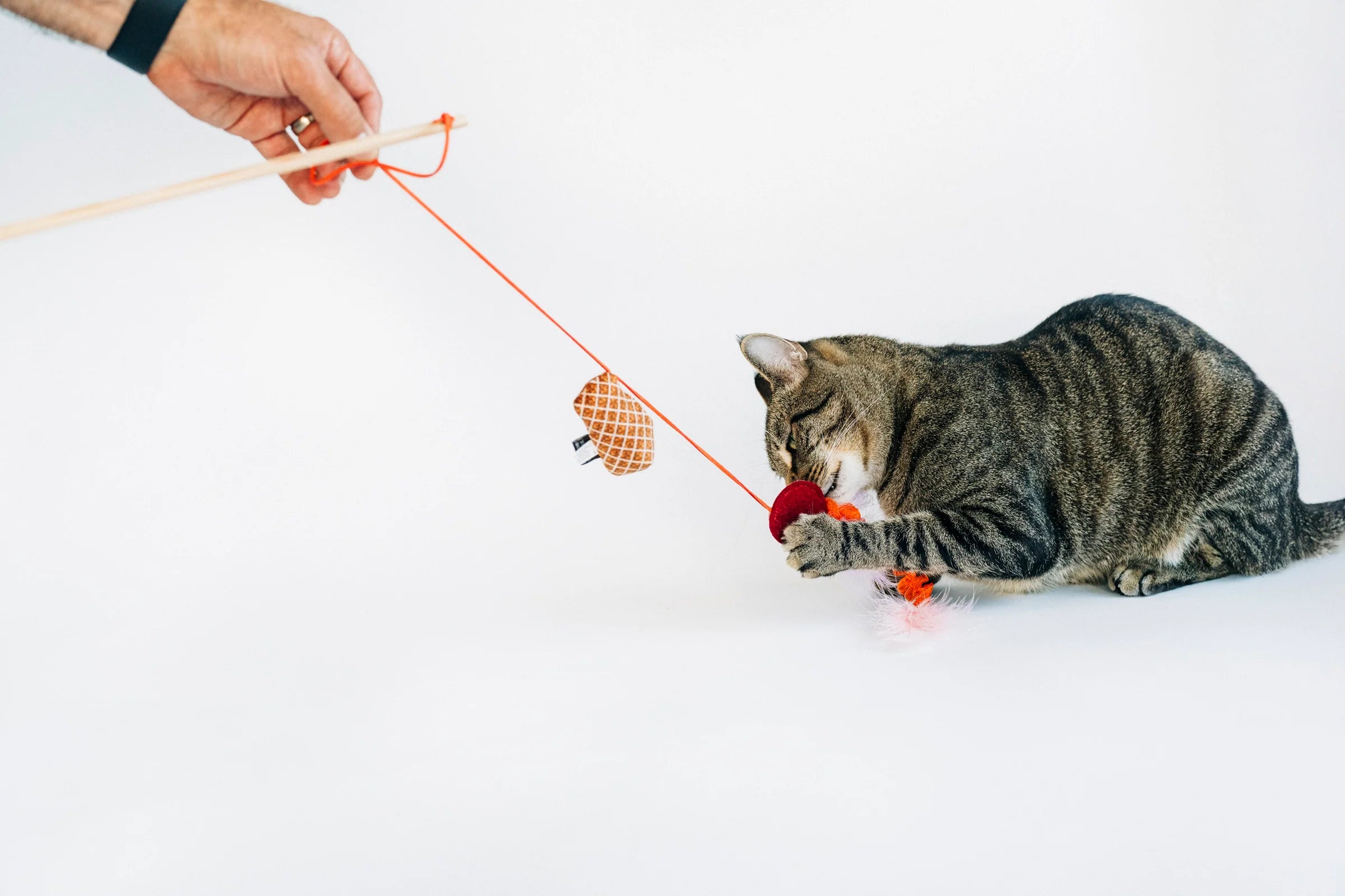 P.L.A.Y Feline Frenzy Swatlami Wand Cat Toy – Bubbly