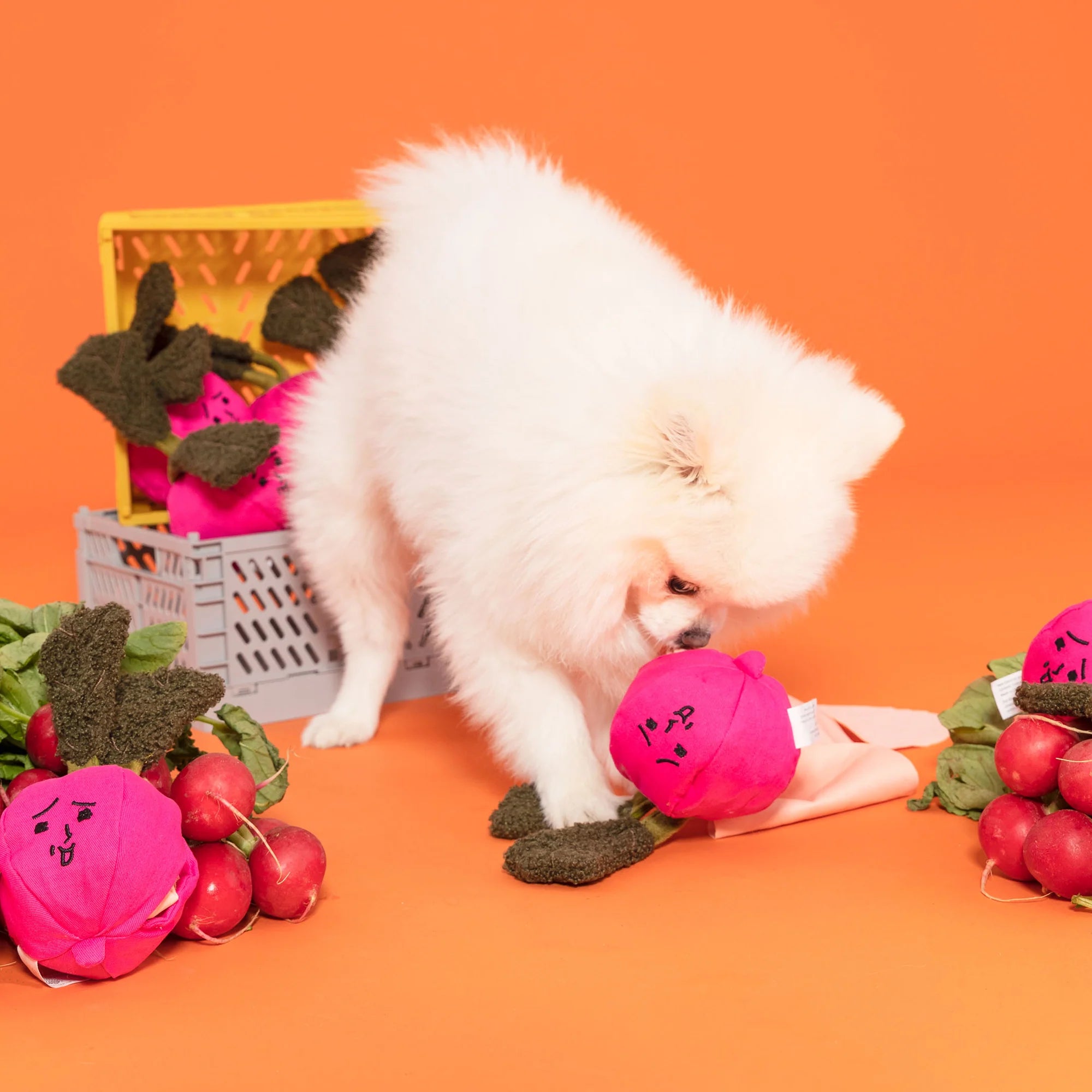 The FurryFolks Radish Squeaky Nosework Dog Toy
