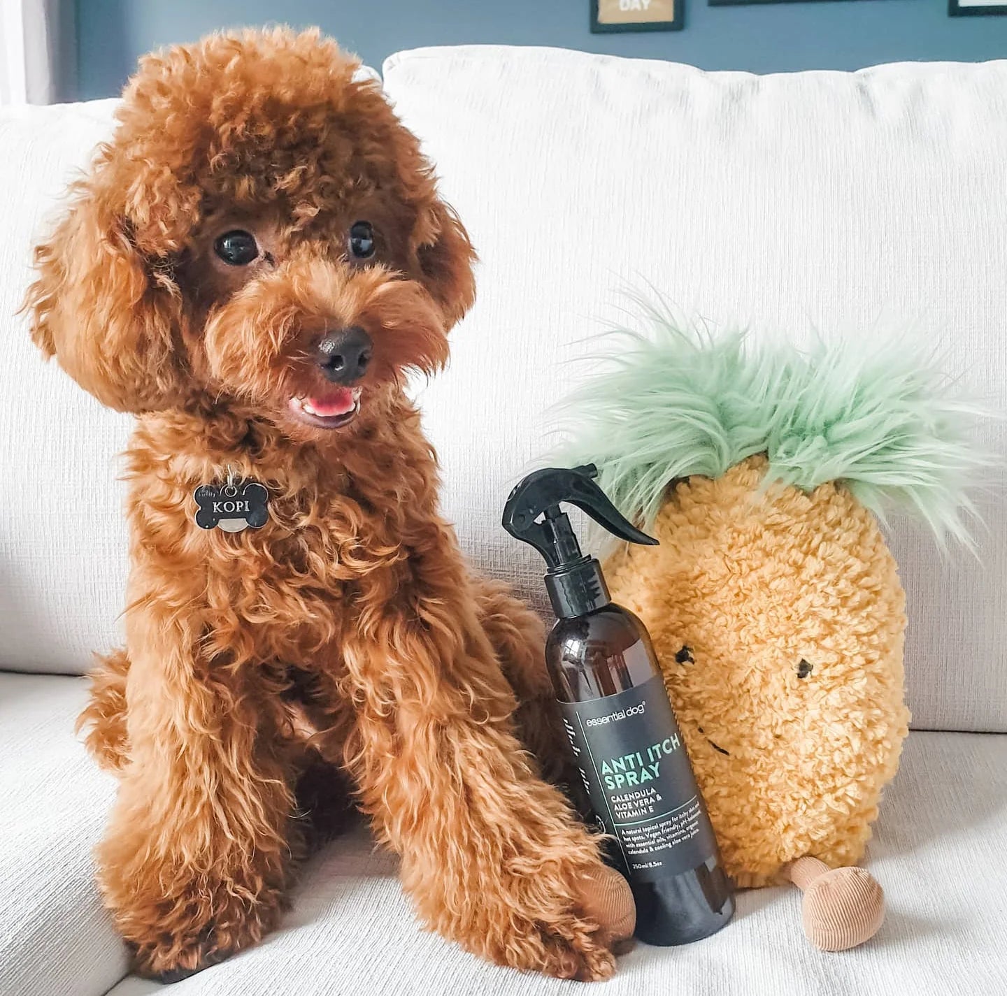 (EXP 11/25) Essential Dog Natural Anti Itch Spray For Dogs (250ml)