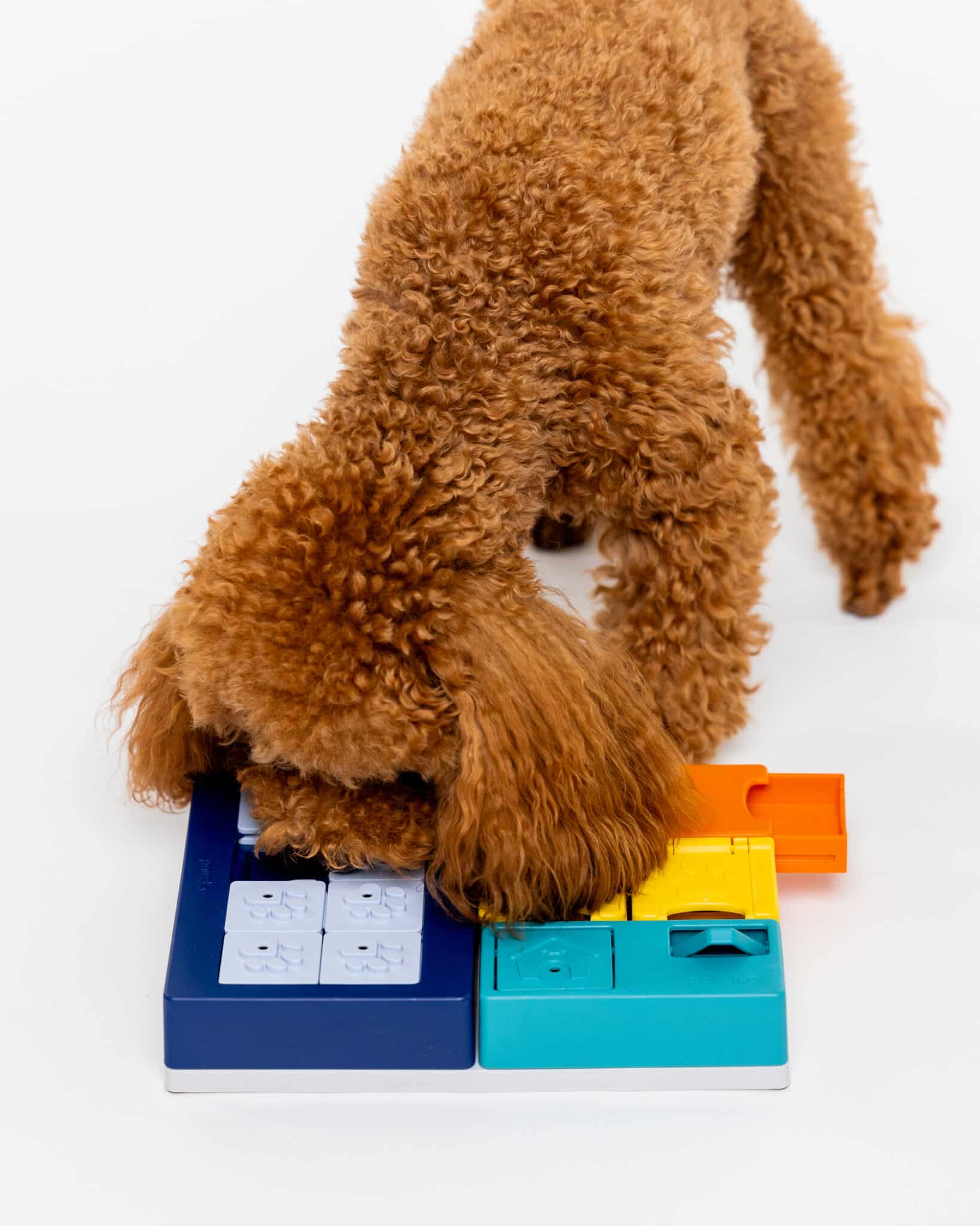 Pawzler Modular Dog Puzzle - Smarty Set
