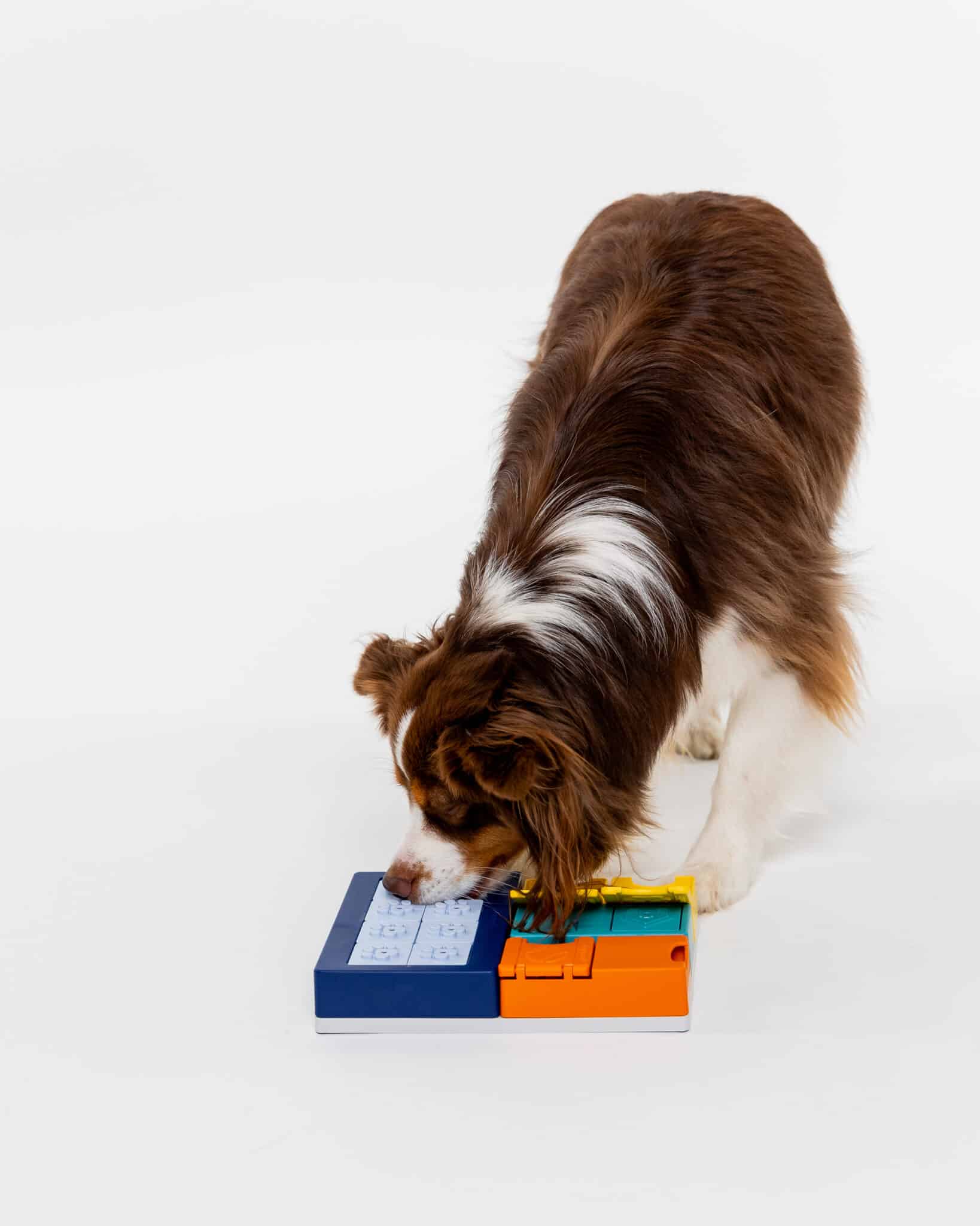 Pawzler Modular Dog Puzzle - Smarty Set