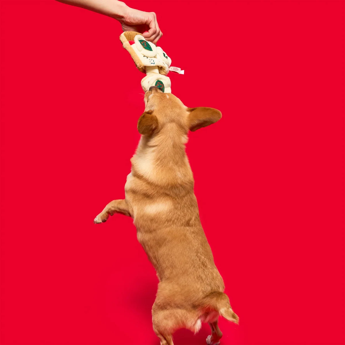 The FurryFolks Pizza Nosework Dog Toy