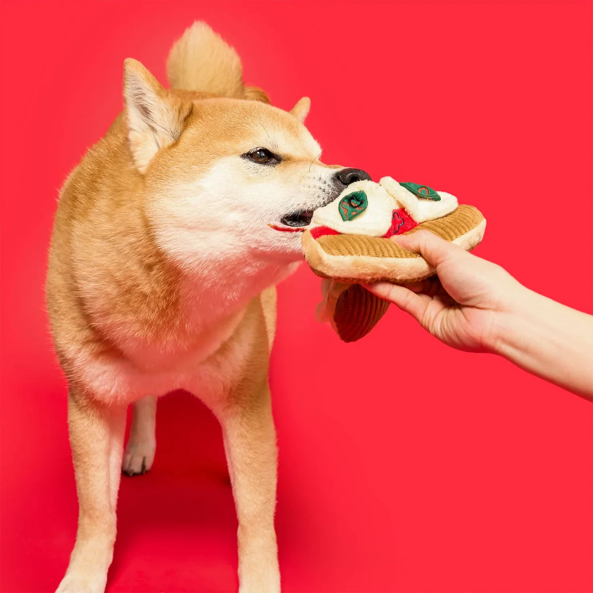 The FurryFolks Pizza Nosework Dog Toy