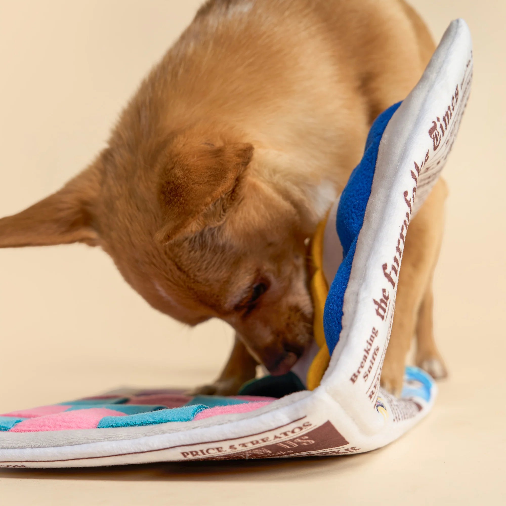 The FurryFolks Newspaper Issue 02 Nosework Dog Toy