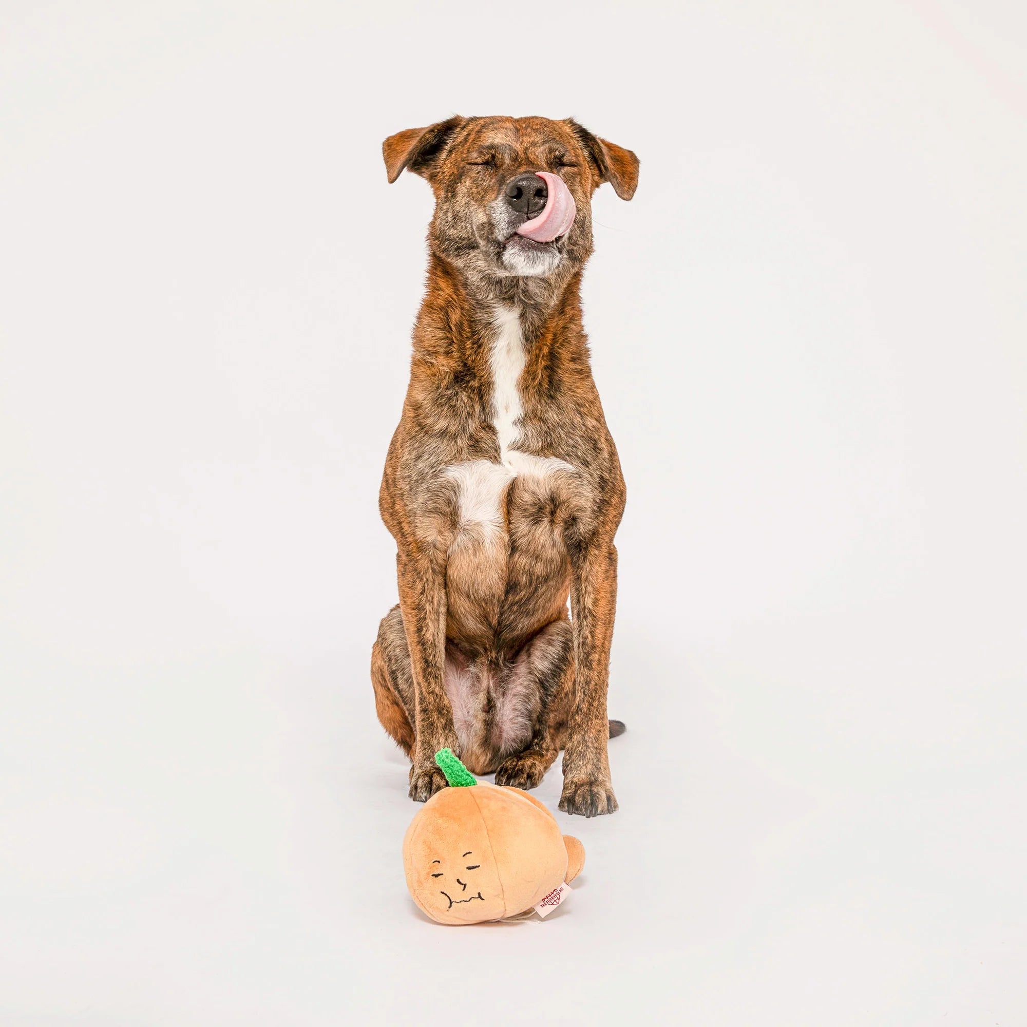 The FurryFolks Yellow Onion Squeaky Nosework Dog Toy