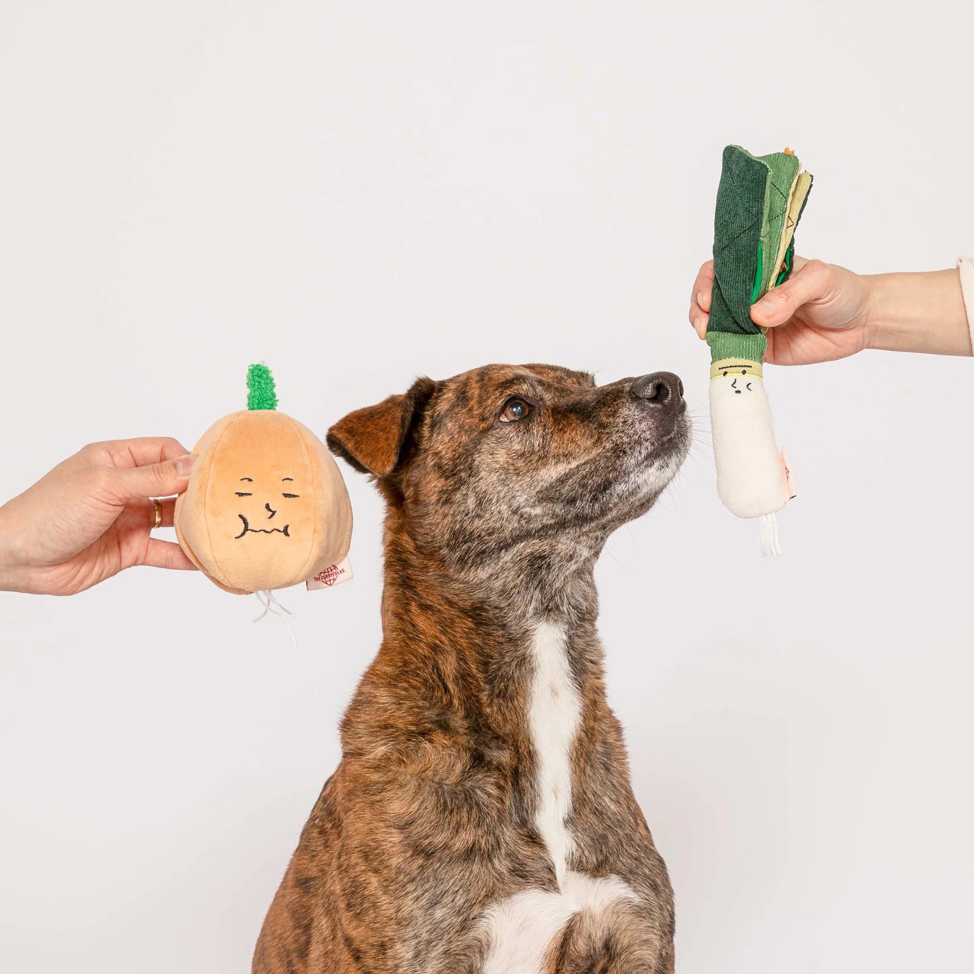 The FurryFolks Yellow Onion Squeaky Nosework Dog Toy