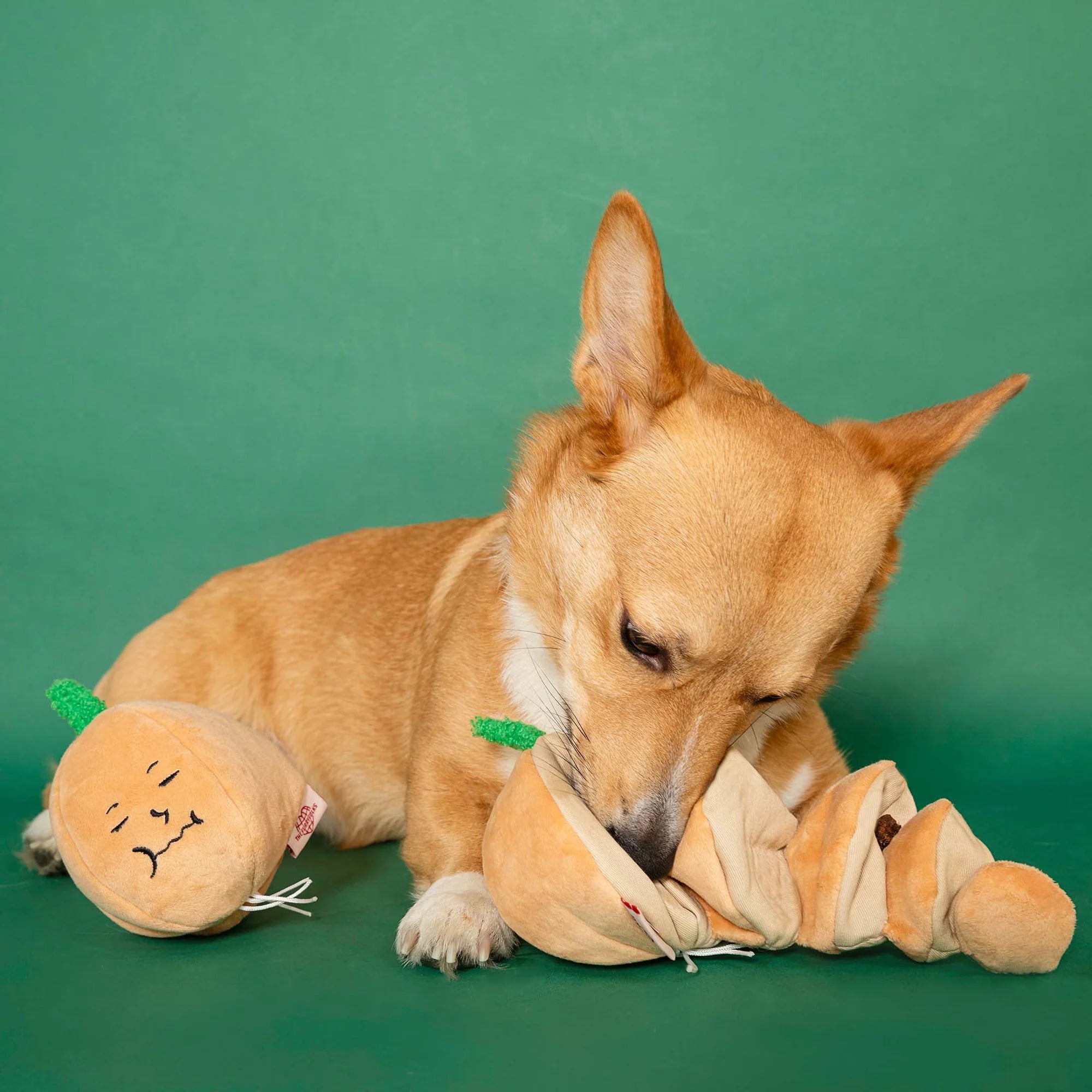 The FurryFolks Yellow Onion Squeaky Nosework Dog Toy