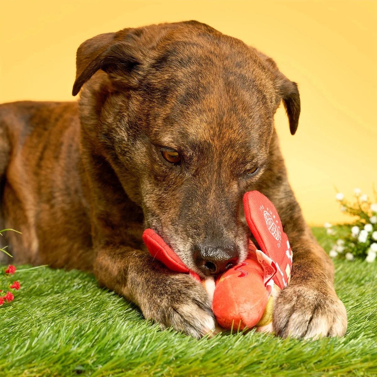 The FurryFolks Hot Doggie Nosework Toy
