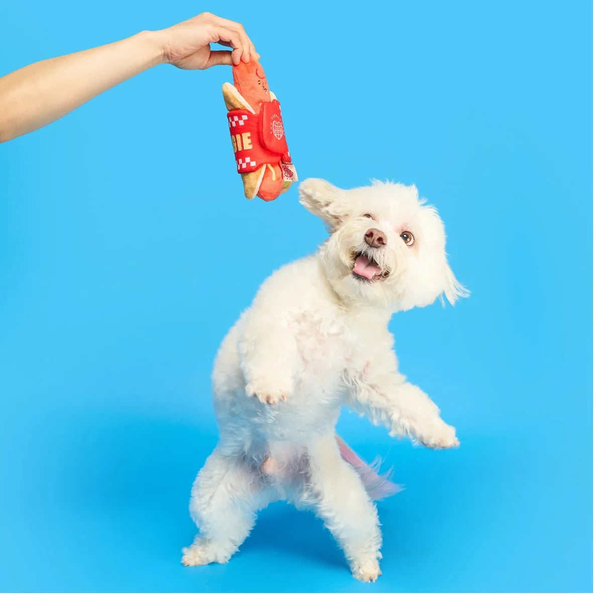 The FurryFolks Hot Doggie Nosework Toy
