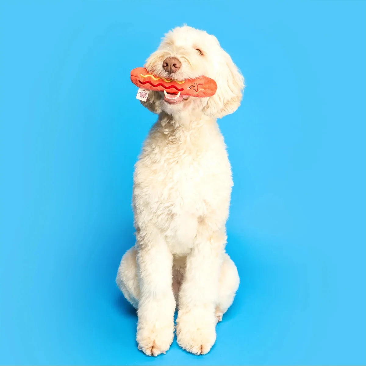 The FurryFolks Hot Doggie Nosework Toy