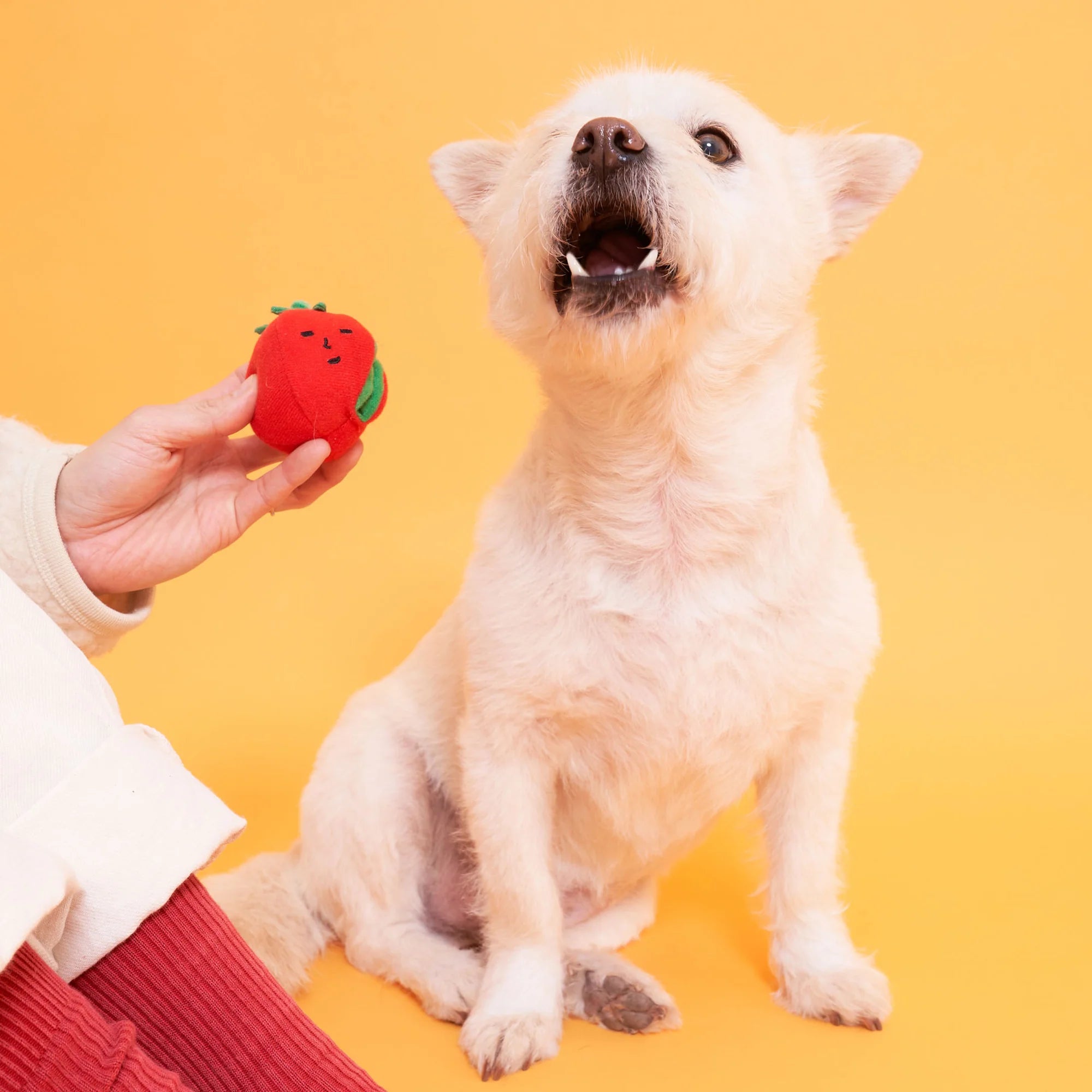 The FurryFolks Cherry Tomato Nosework Tug Toy