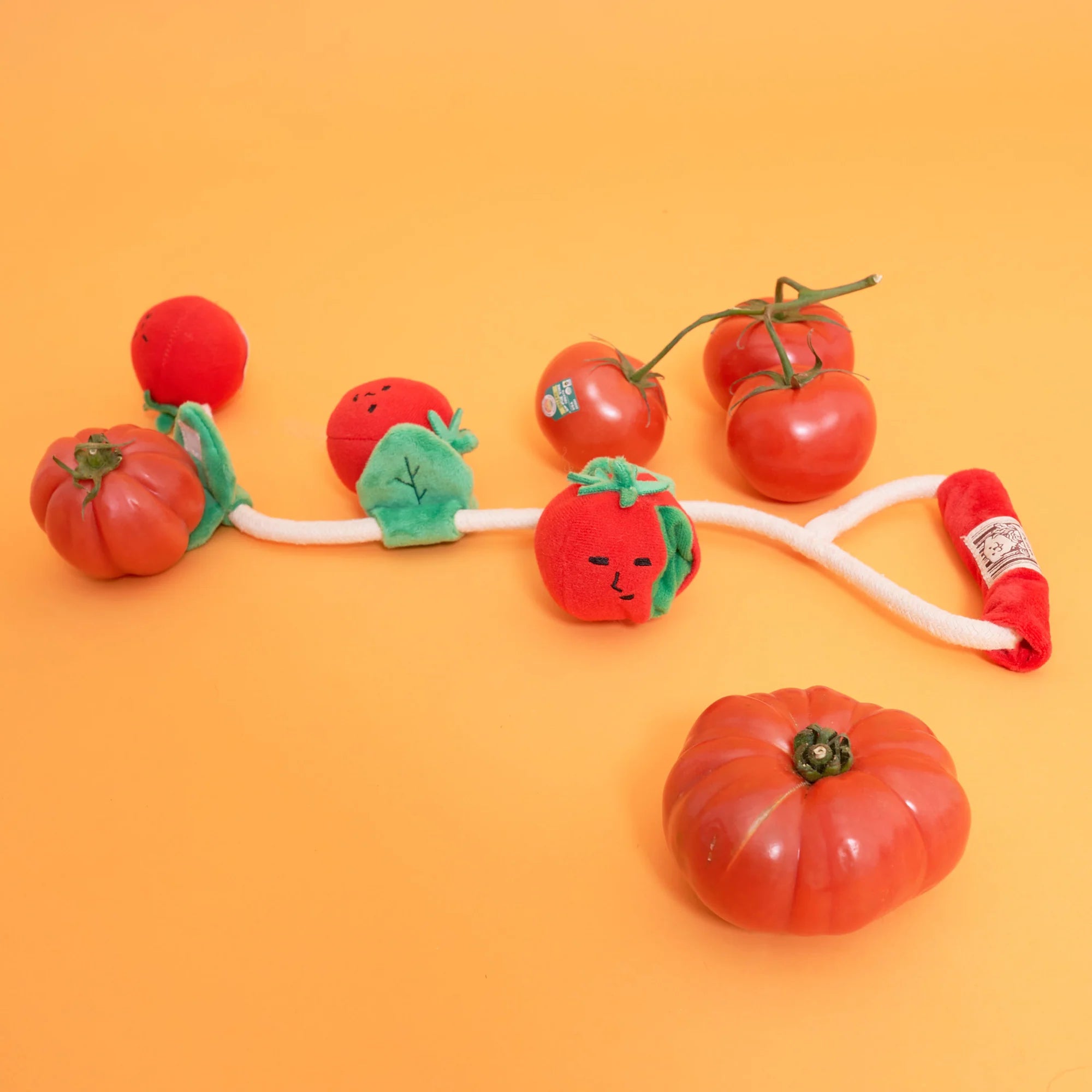 The FurryFolks Cherry Tomato Nosework Tug Toy