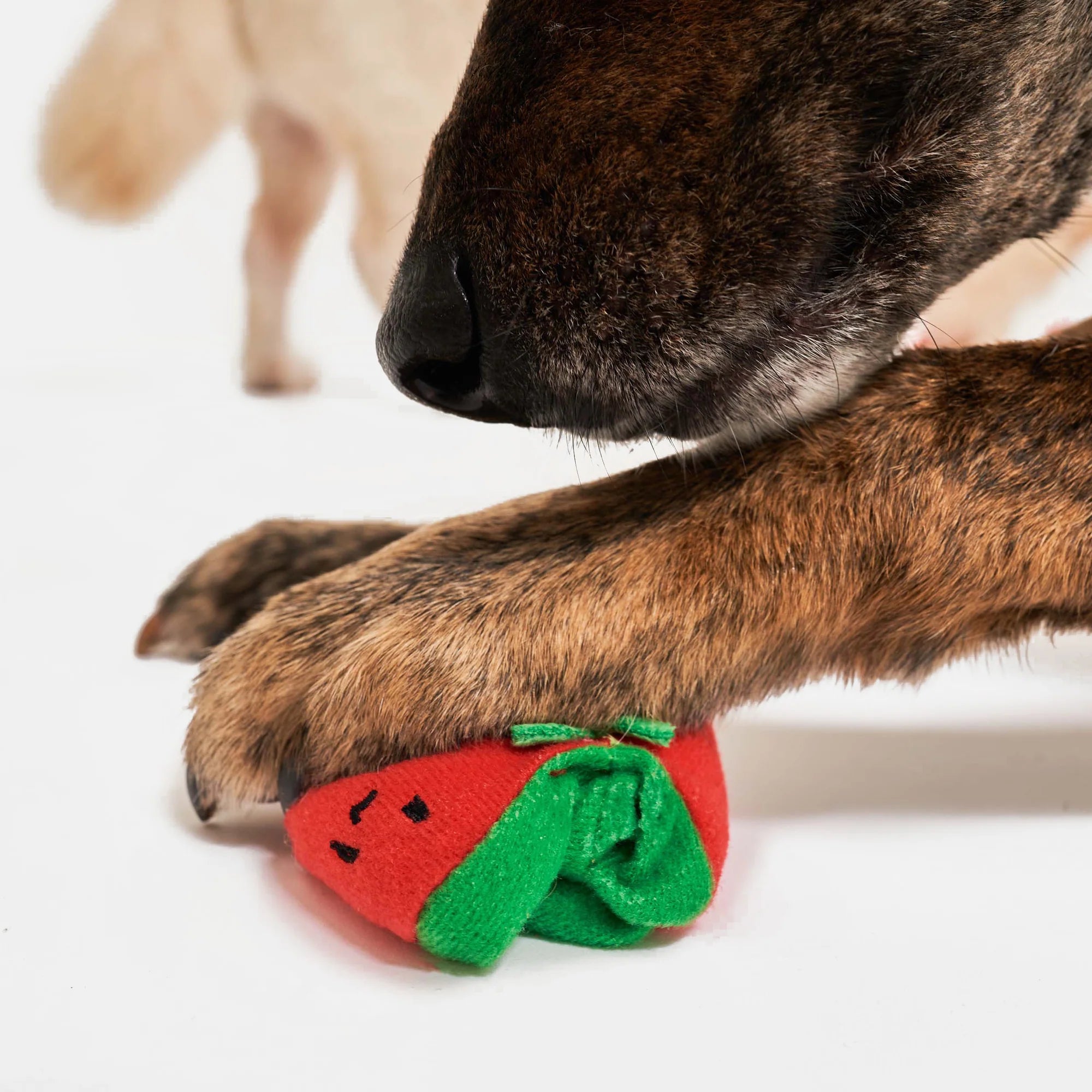 The FurryFolks Cherry Tomato Nosework Tug Toy