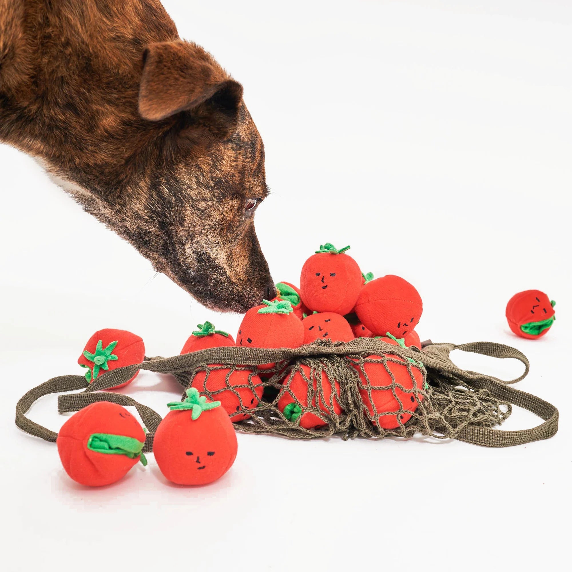 The FurryFolks Cherry Tomato Nosework Tug Toy