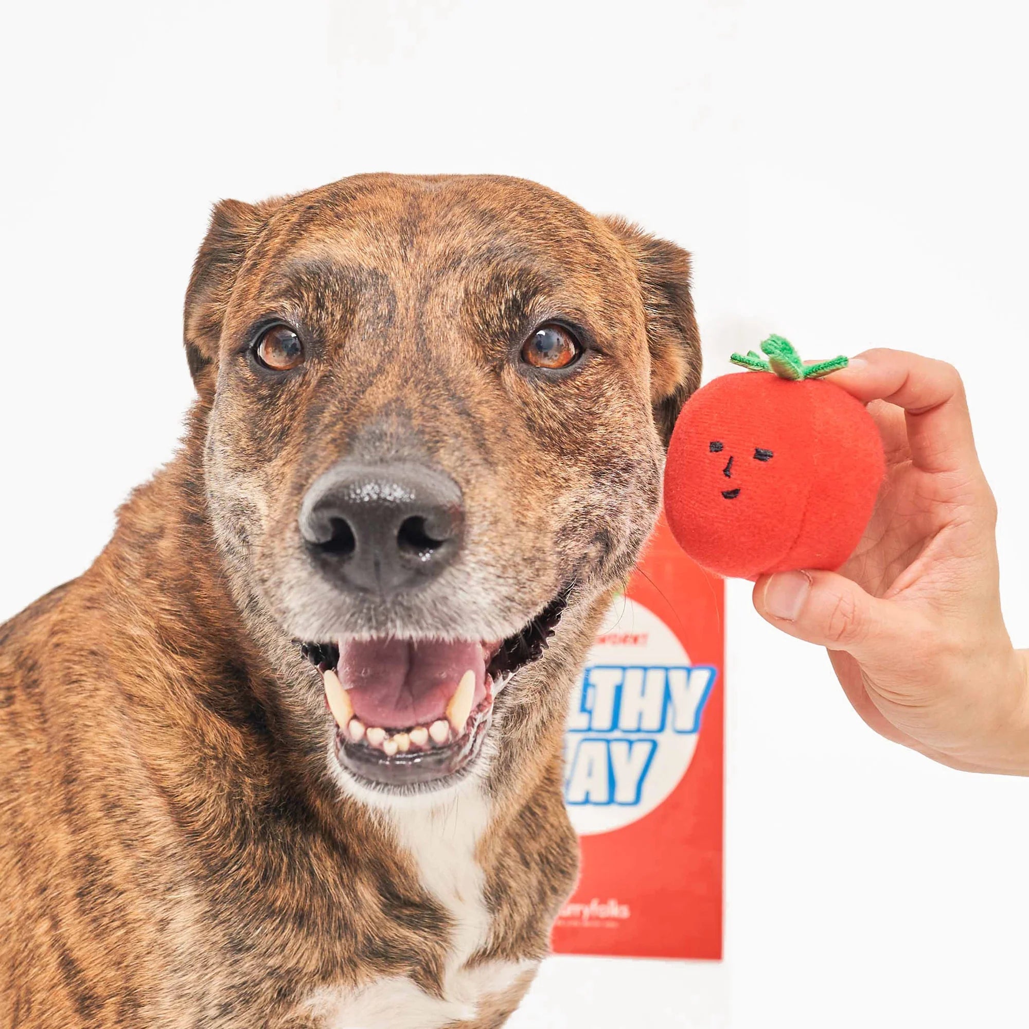 The FurryFolks Cherry Tomato Nosework Tug Toy