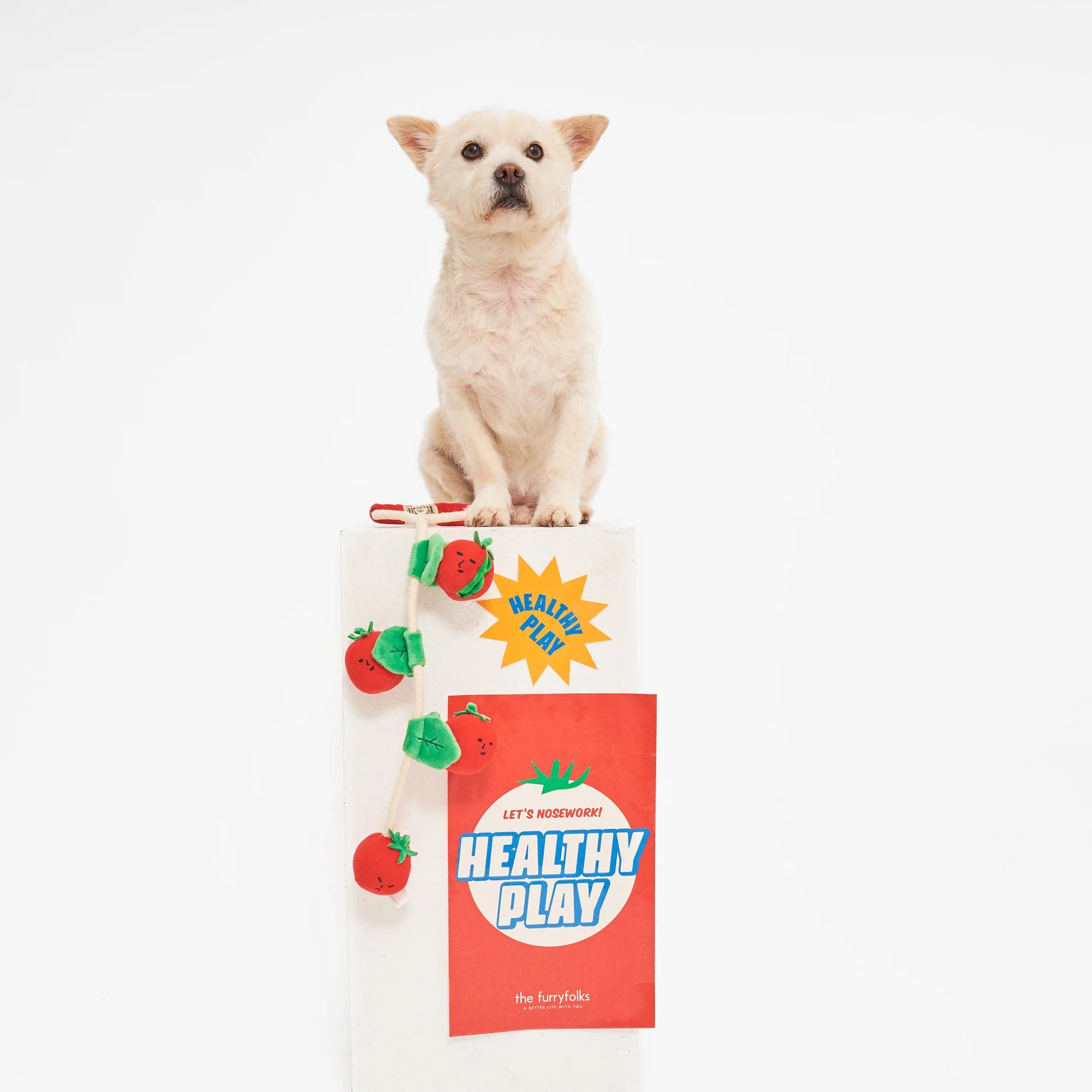 The FurryFolks Cherry Tomato Nosework Tug Toy