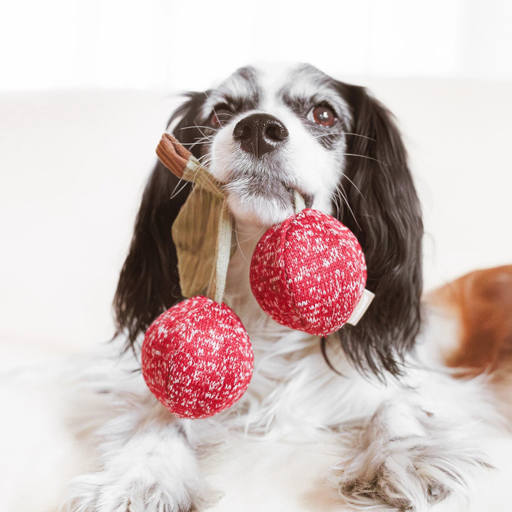 Lambwolf Cherry Pop Bouncy & Snuffle Toy