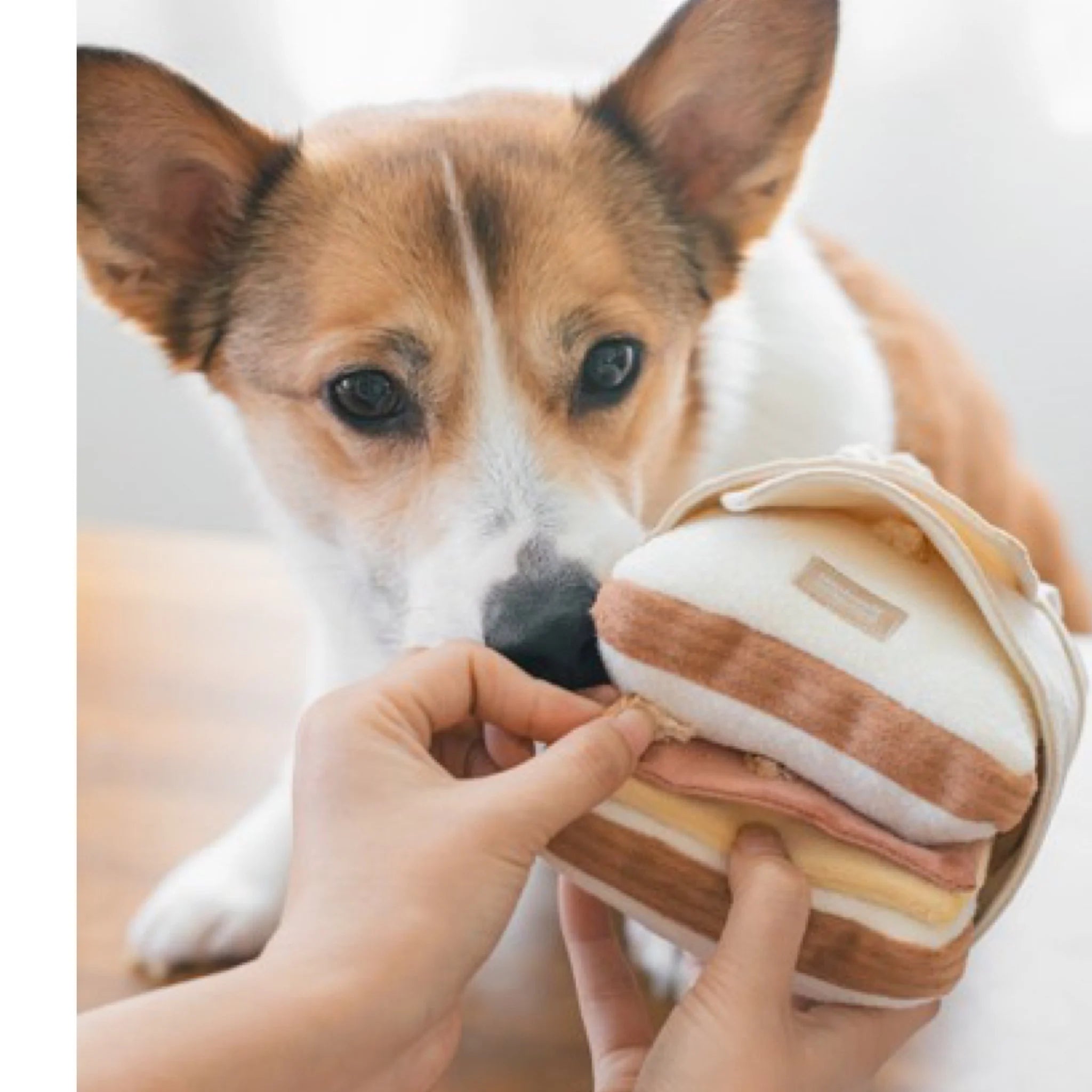 Lambwolf Ham & Cheese Snuffle Toy