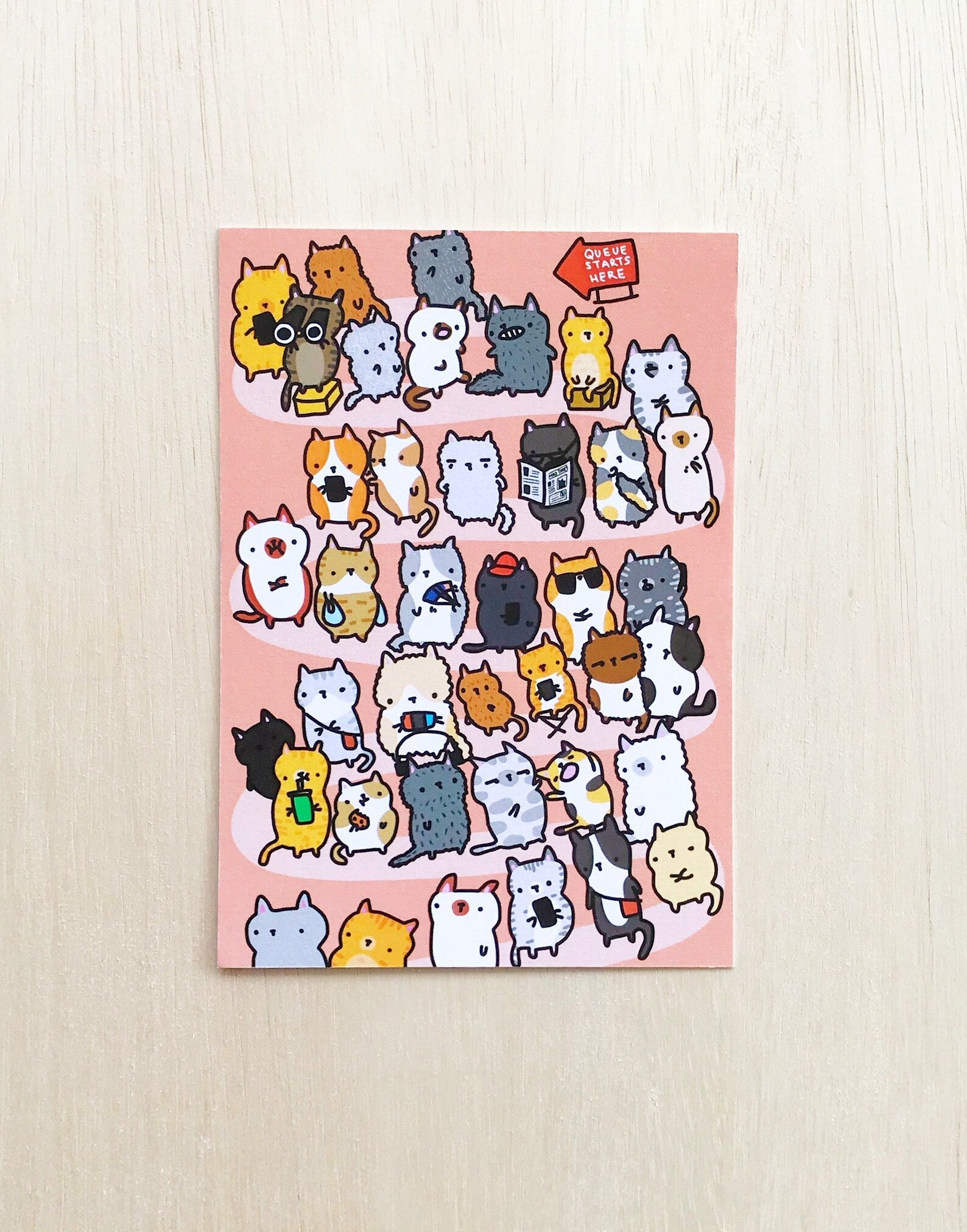 Cat Queue Postcard