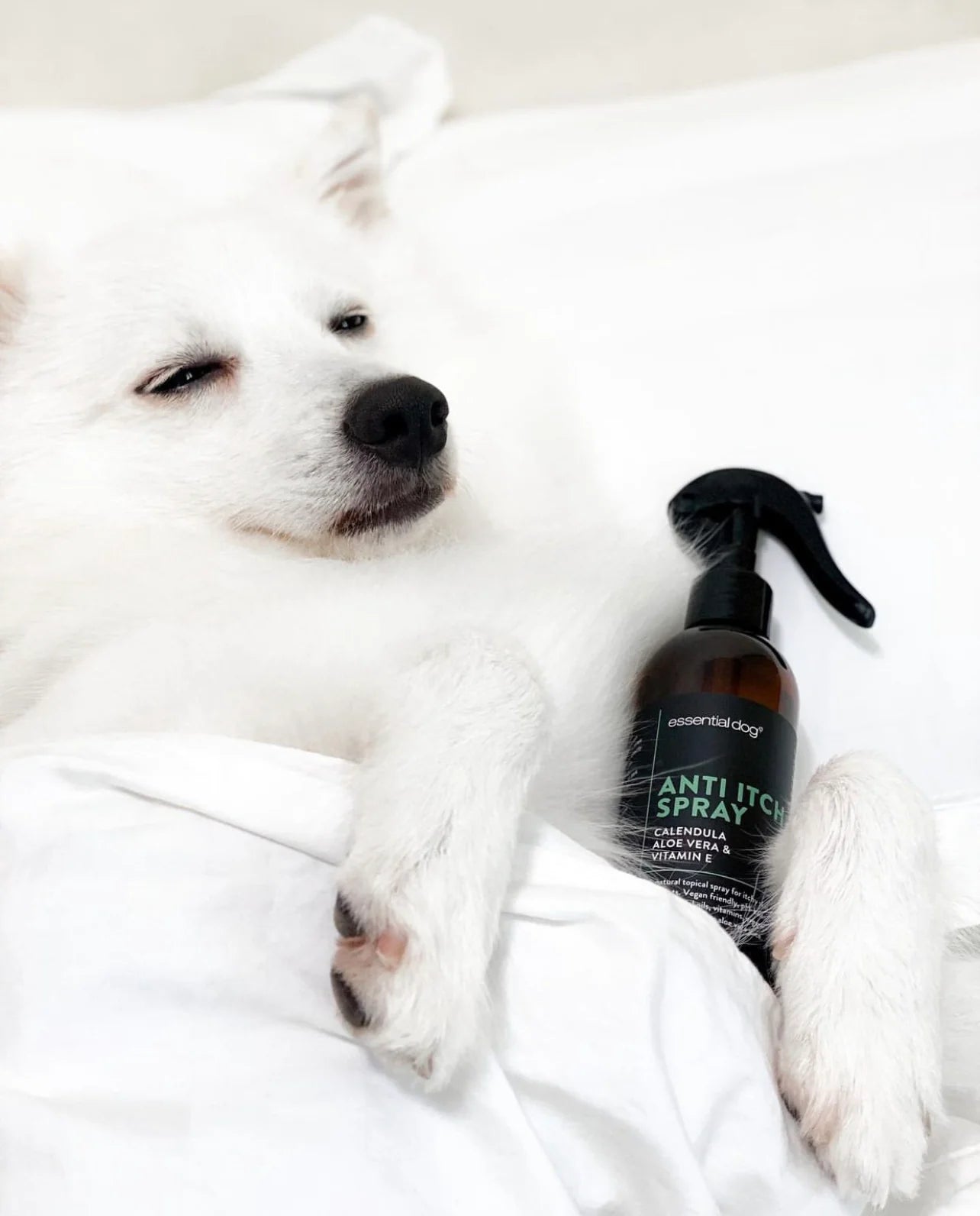 (EXP 11/25) Essential Dog Natural Anti Itch Spray For Dogs (250ml)