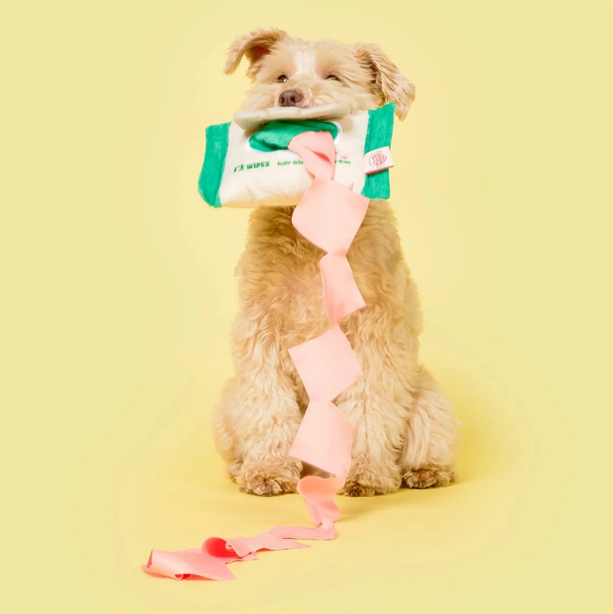 The FurryFolks Doggo Wipe Squeaky Nosework Toy