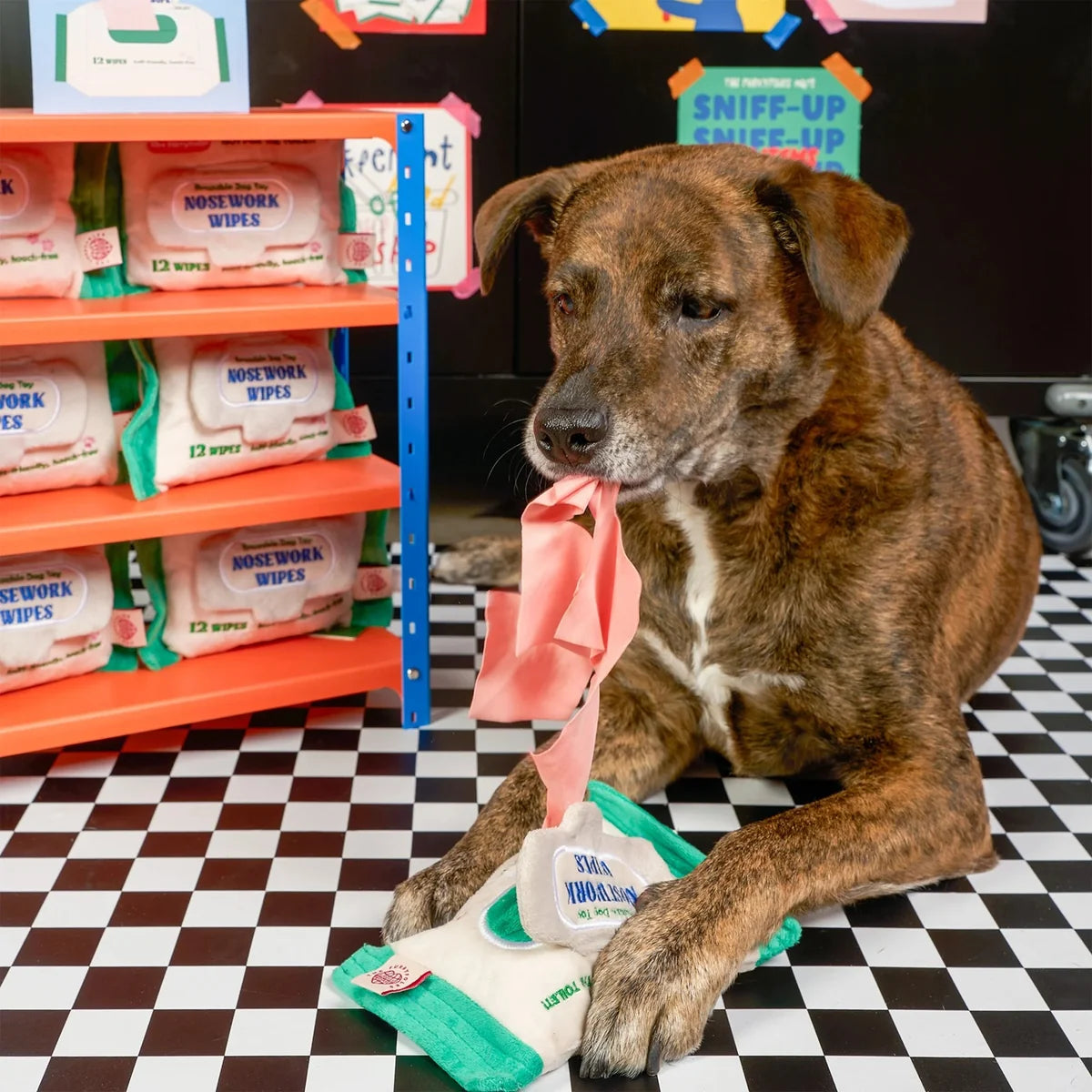 The FurryFolks Doggo Wipe Squeaky Nosework Toy