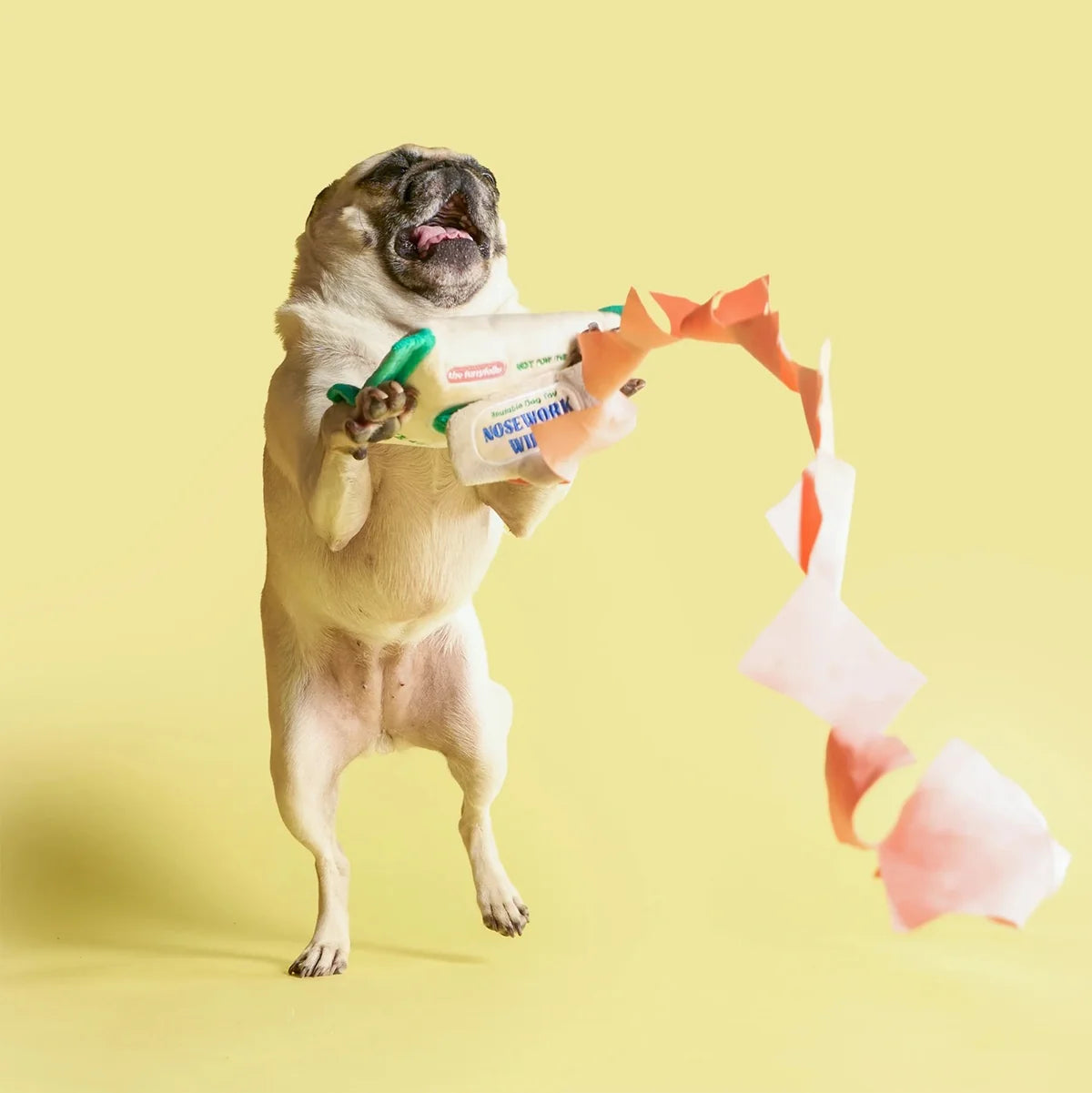 The FurryFolks Doggo Wipe Squeaky Nosework Toy