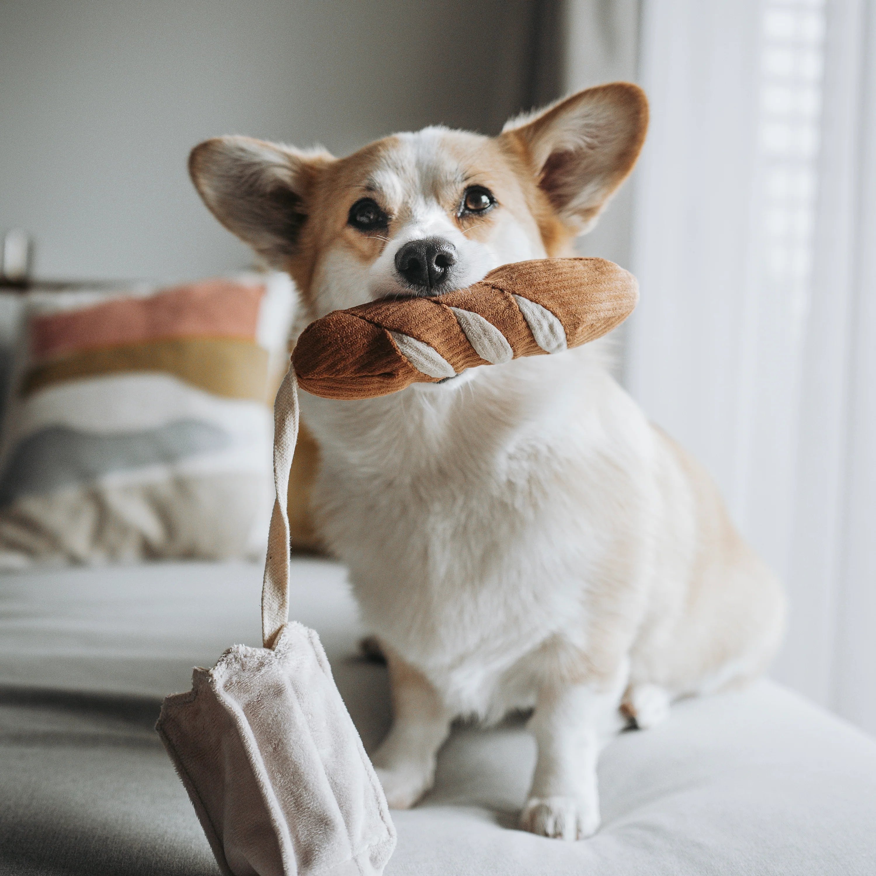Lambwolf Mini Baguette Snuffle & Squeaky Toy