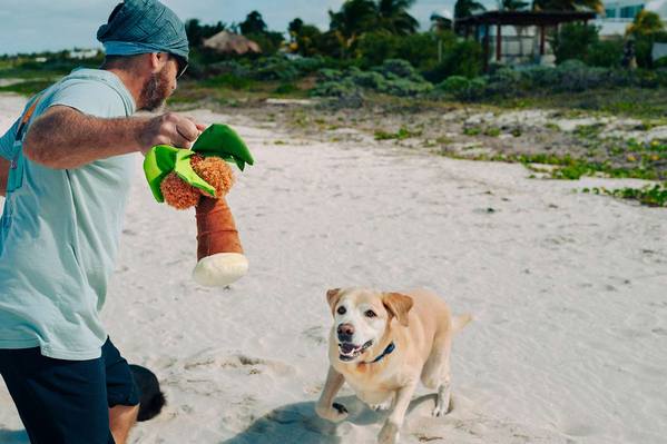 P.L.A.Y Tropical Paradise Squeaky Plush Dog Toy - Puppy Palm